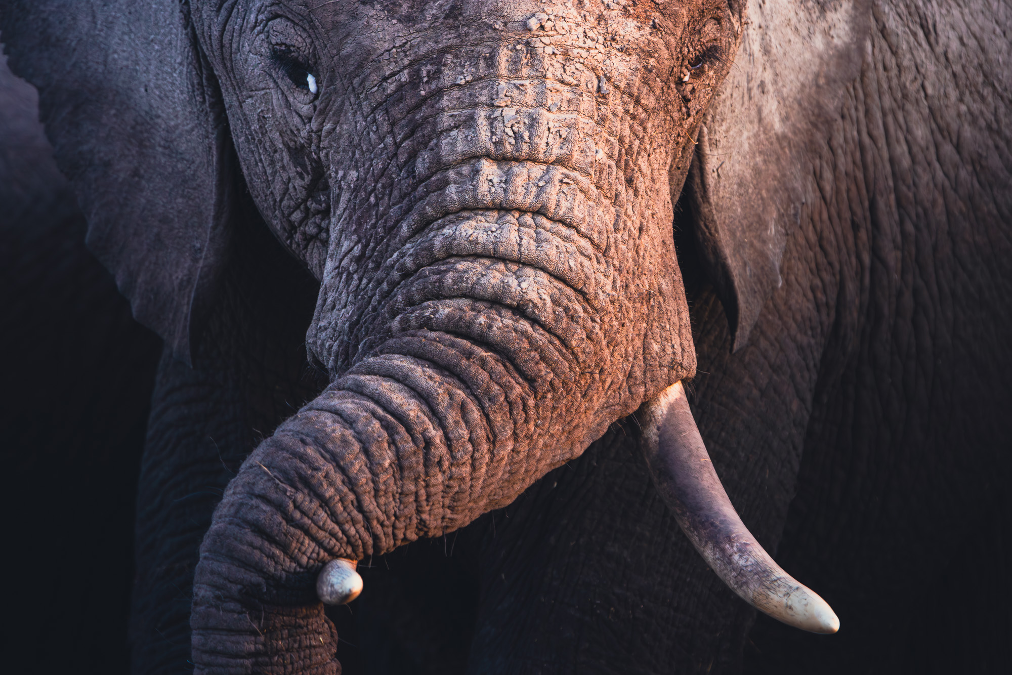 18303119082022231 ©SimonePaleari