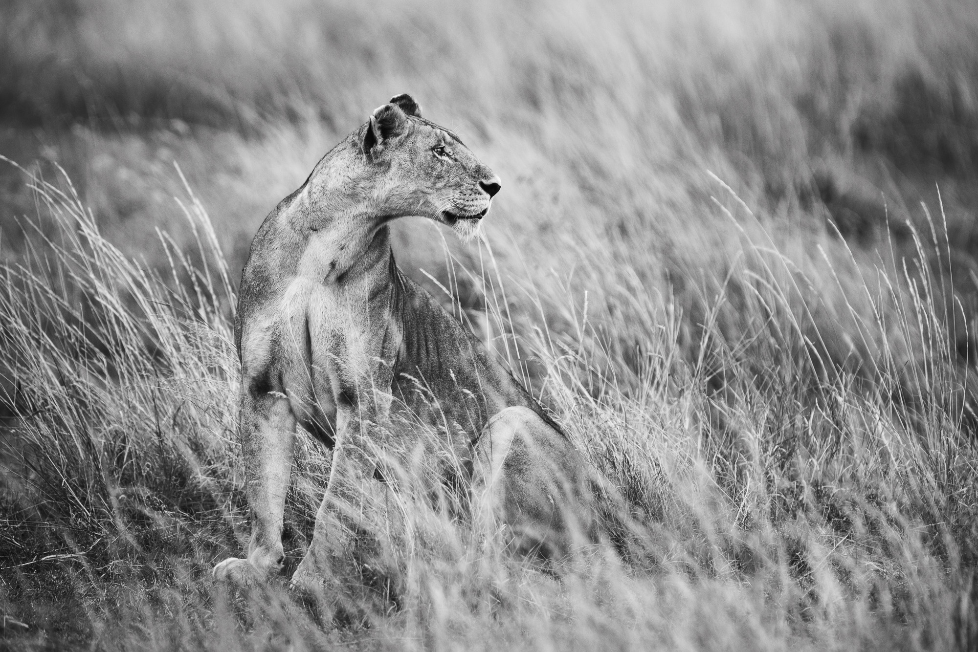 18311112082022224 ©SimonePaleari