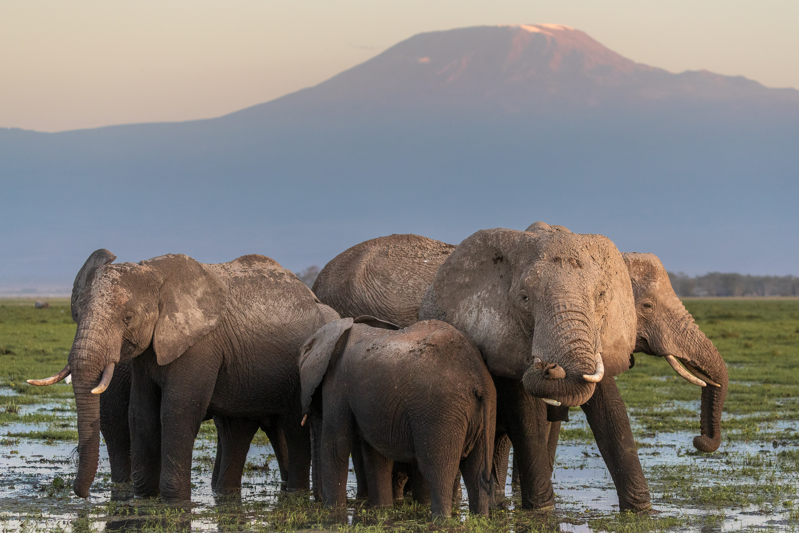 18324319082022231 ©SimonePaleari