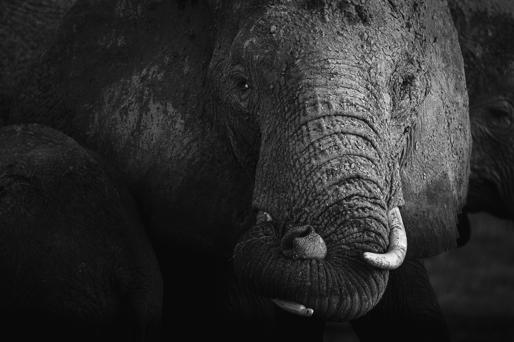 18324719082022231 ©SimonePaleari