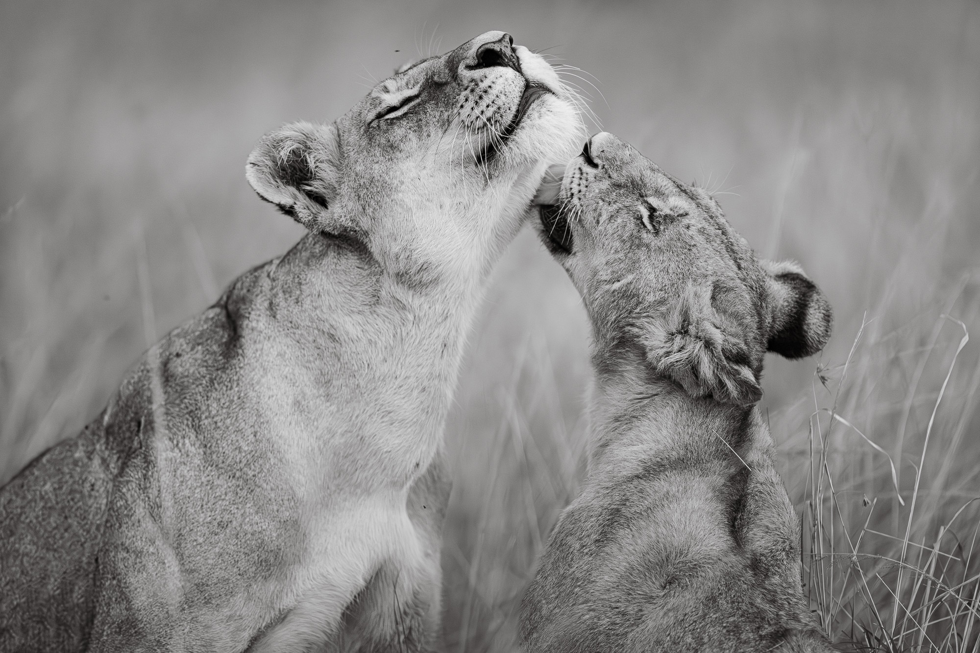 18431715082022227 ©SimonePaleari 2