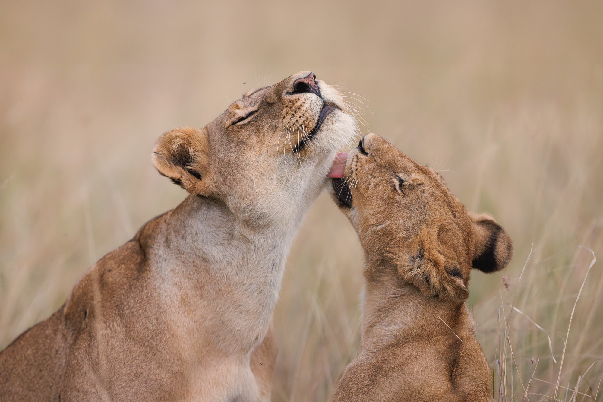 18431715082022227 ©SimonePaleari