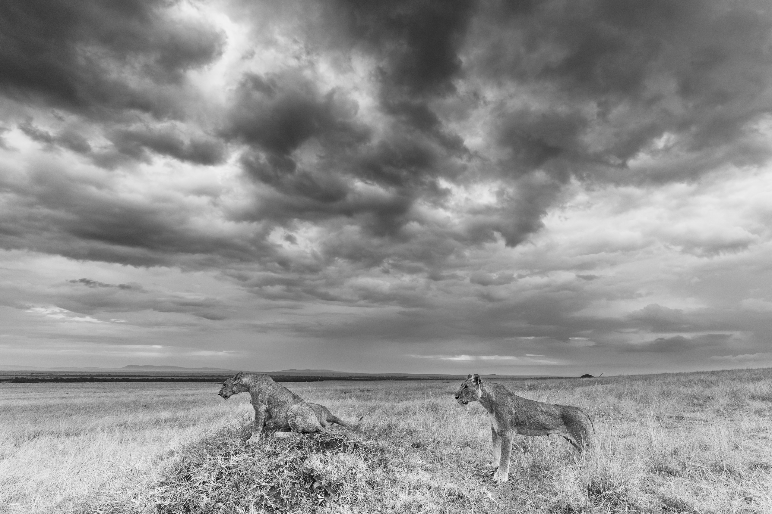 18450715082022227 ©SimonePaleari