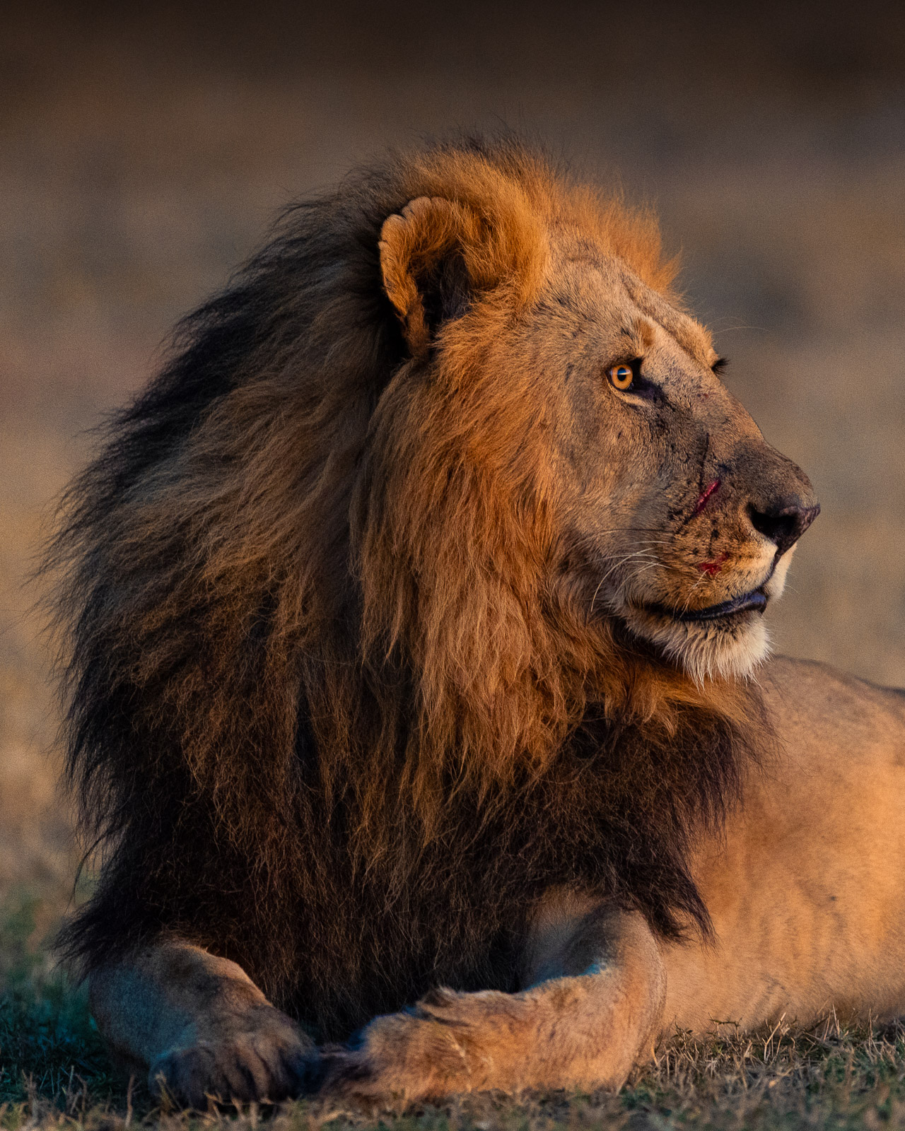 06181924082023236 ©SimonePaleari