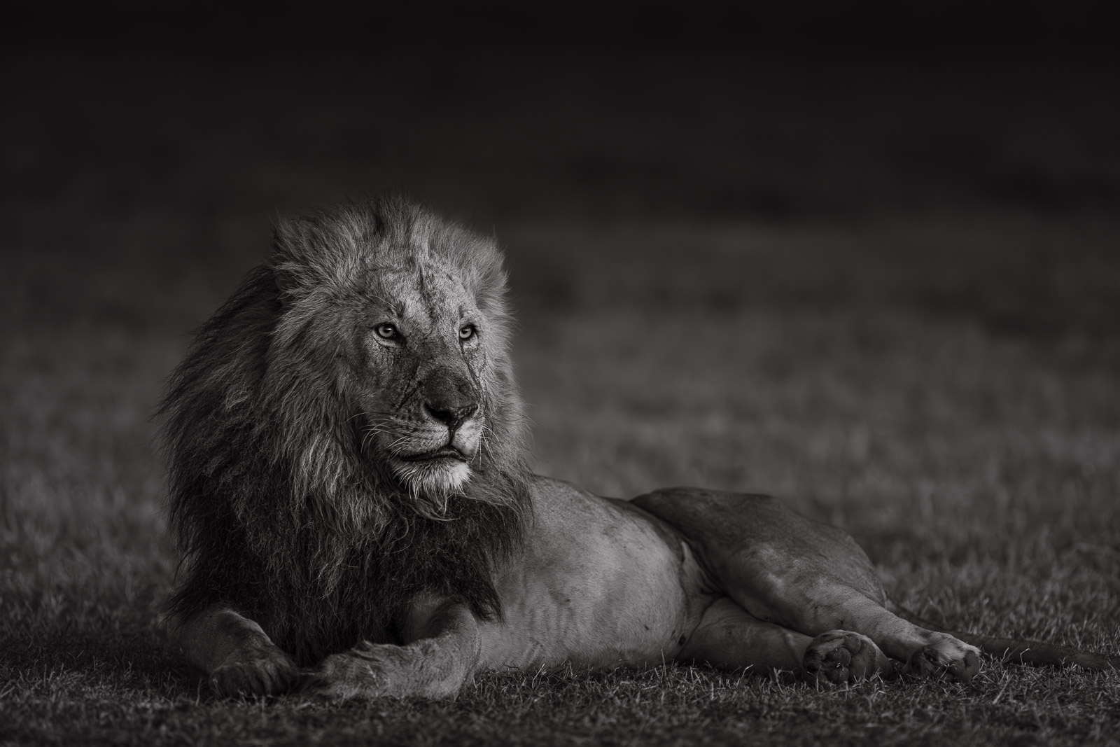 06184924082023236 ©SimonePaleari