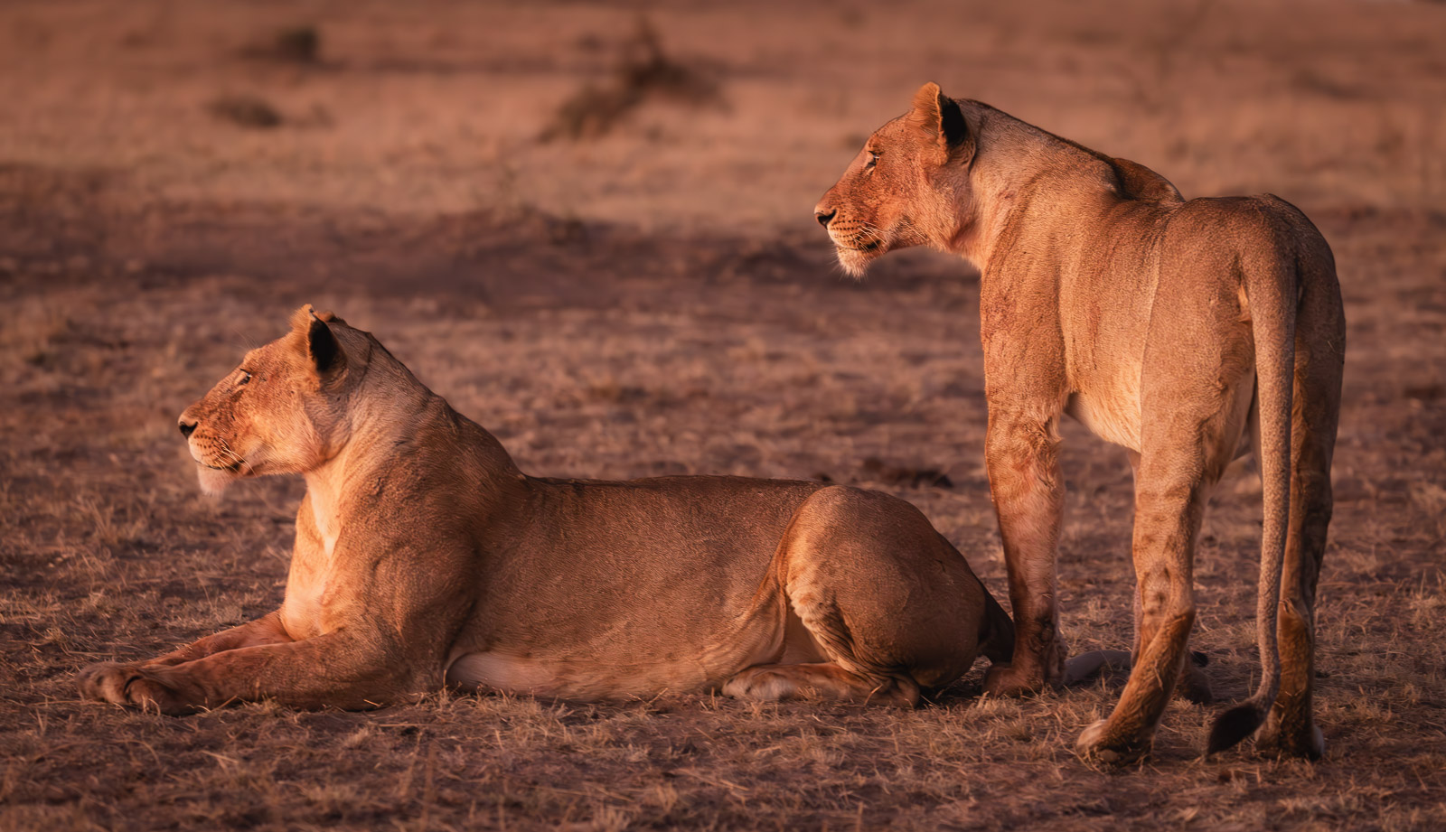 06214425082023237 ©SimonePaleari