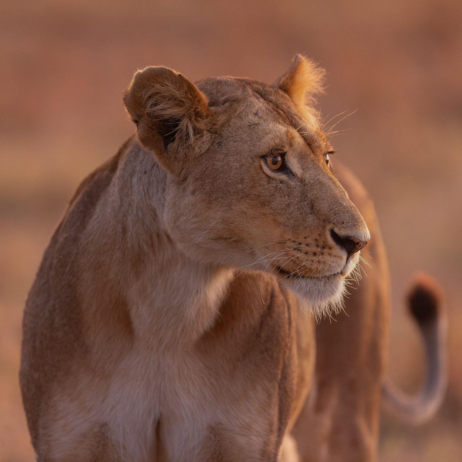 06243524082023236 c ©SimonePaleari