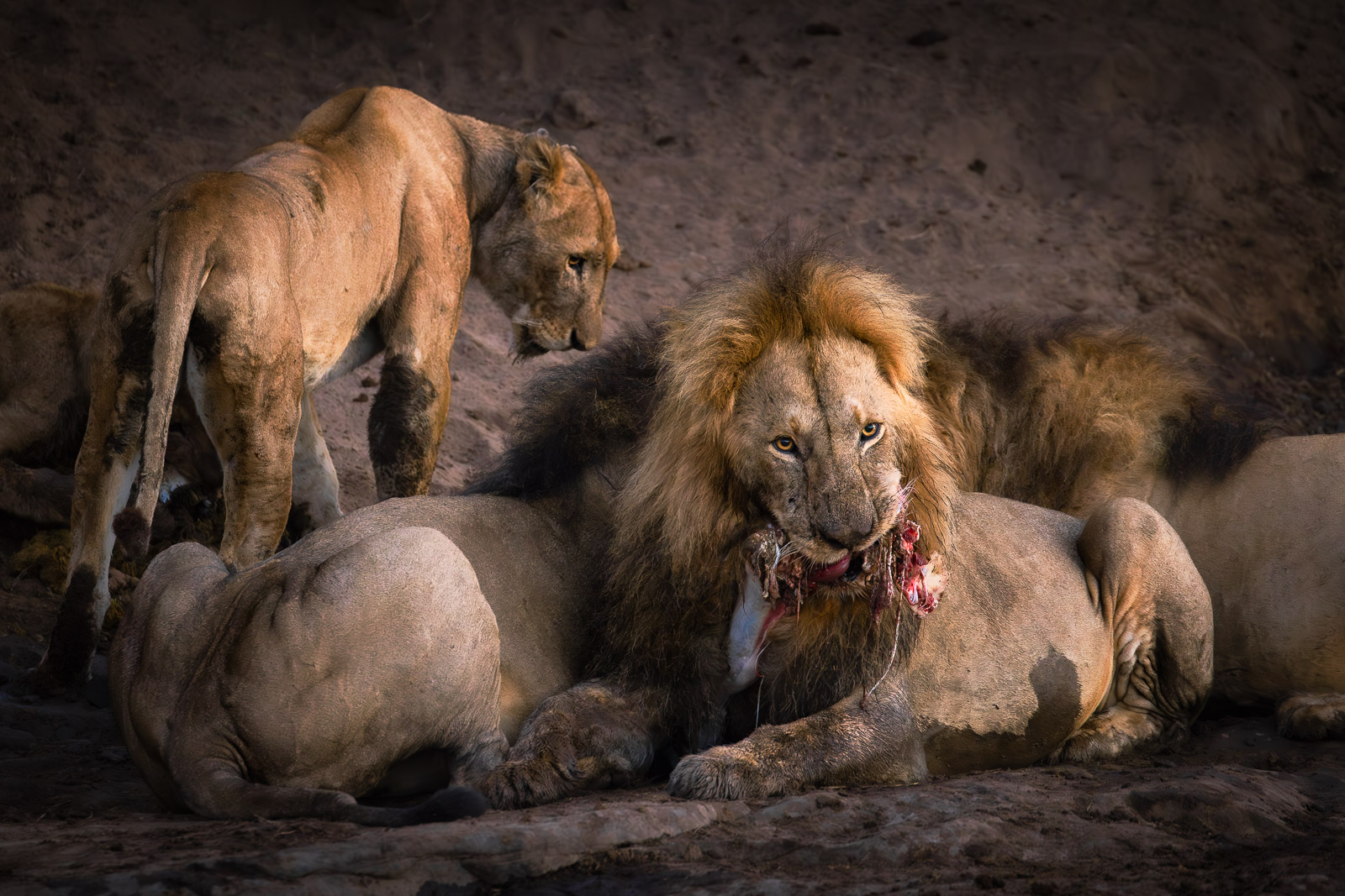 06340622082023234 ©SimonePaleari