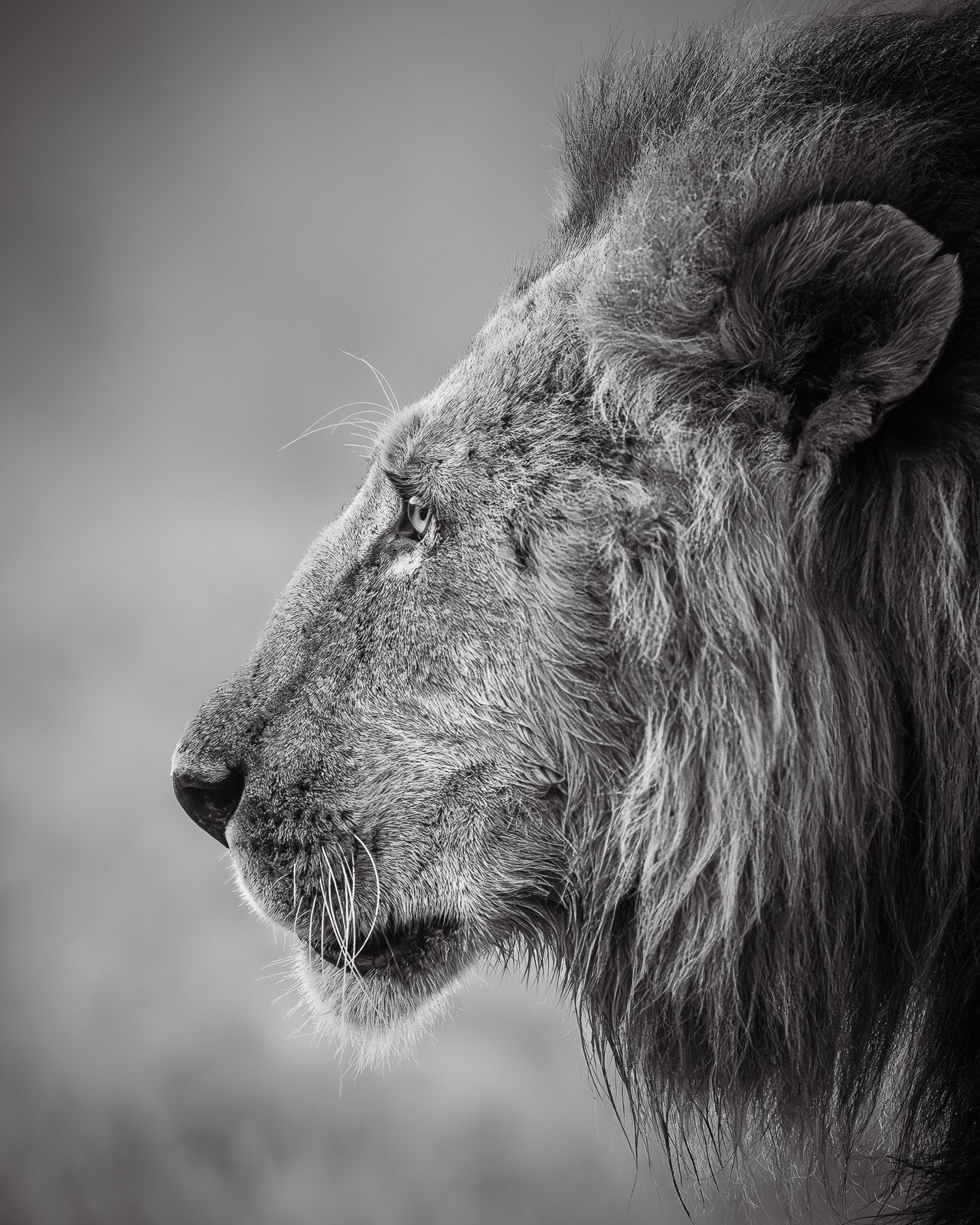 06360024082023236 c ©SimonePaleari