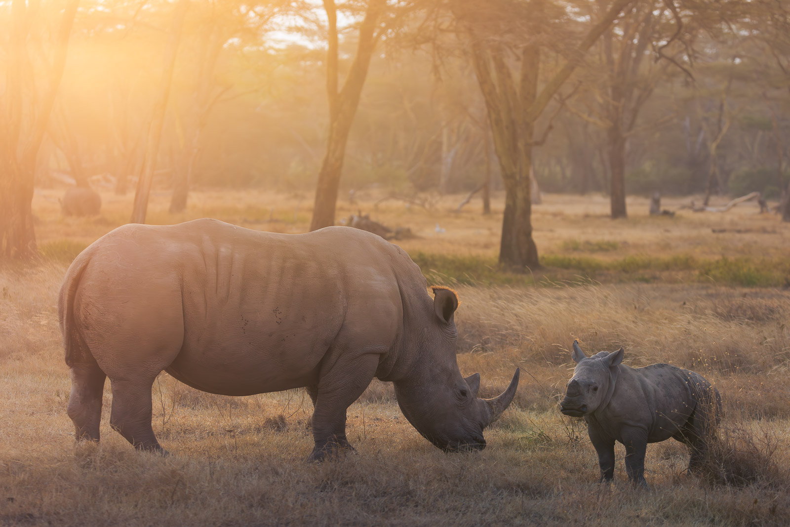 07000415082023227 ©SimonePaleari