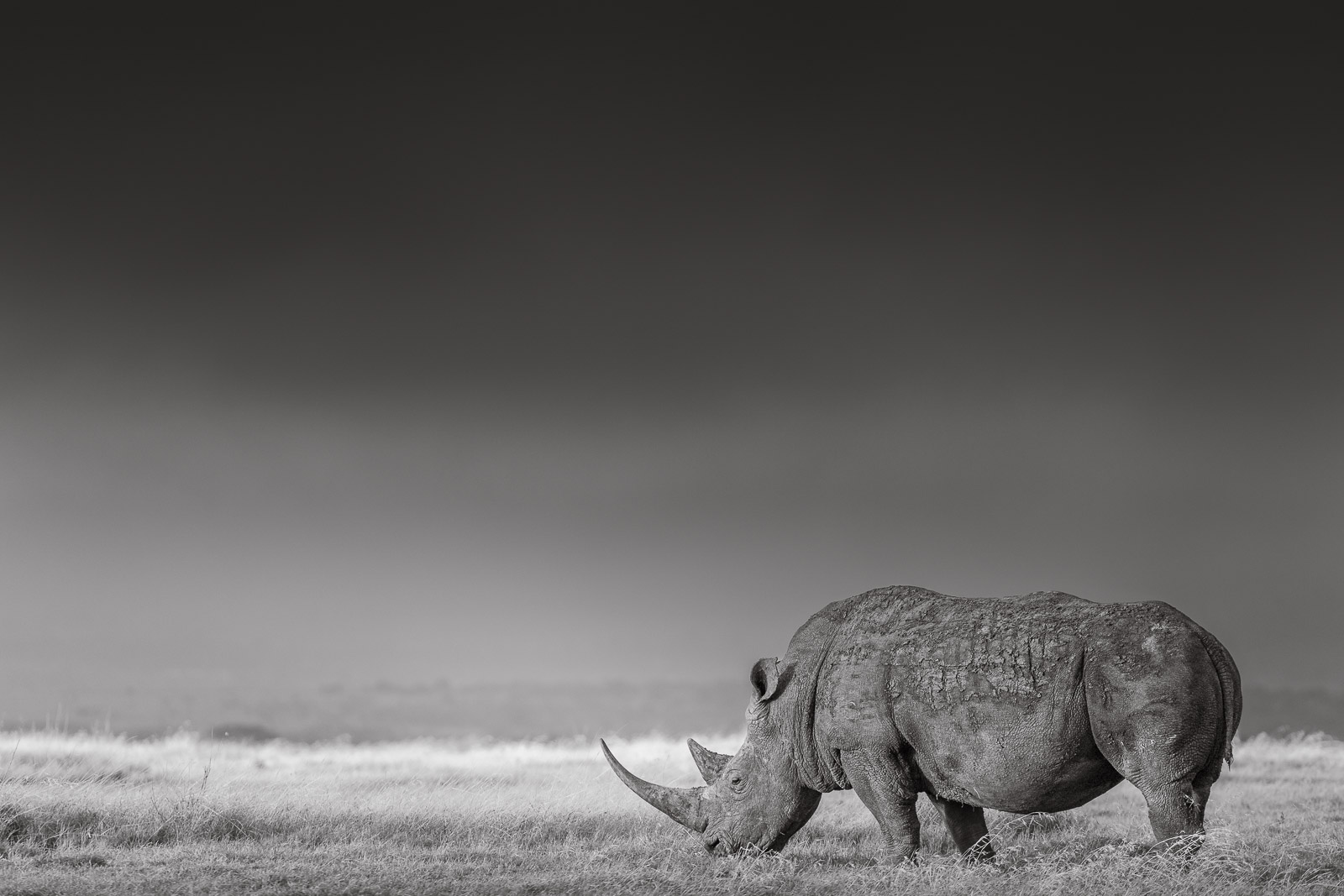 07103216082023228 ©SimonePaleari