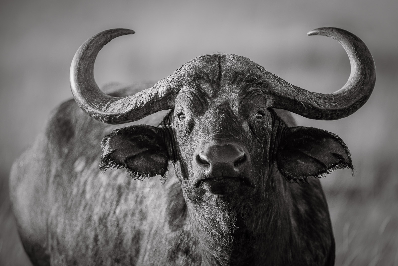 07135019082023231 ©SimonePaleari