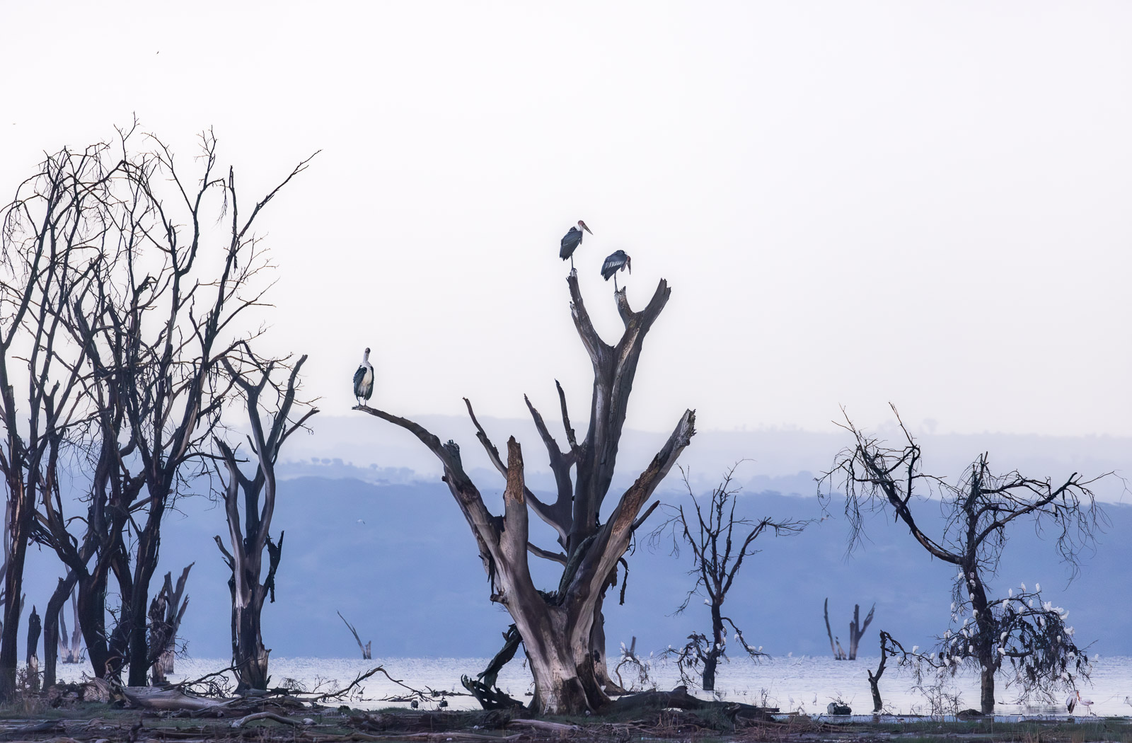 18062317082023229 ©SimonePaleari c