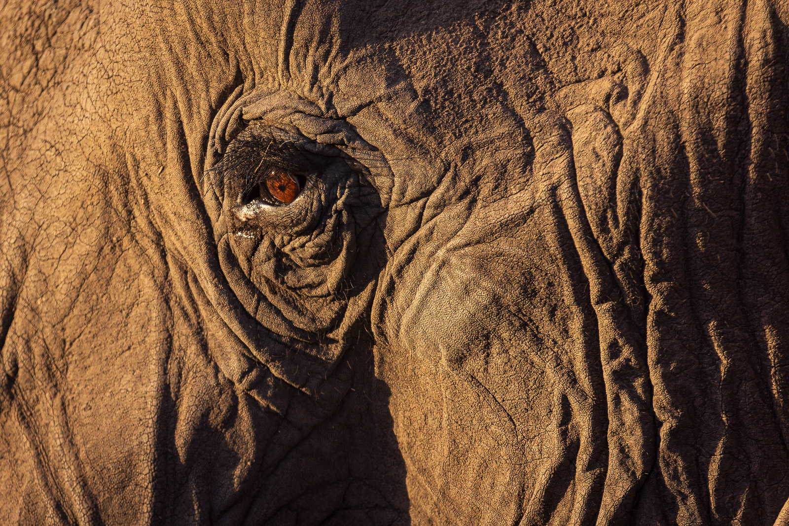 18134525082023237 ©SimonePaleari