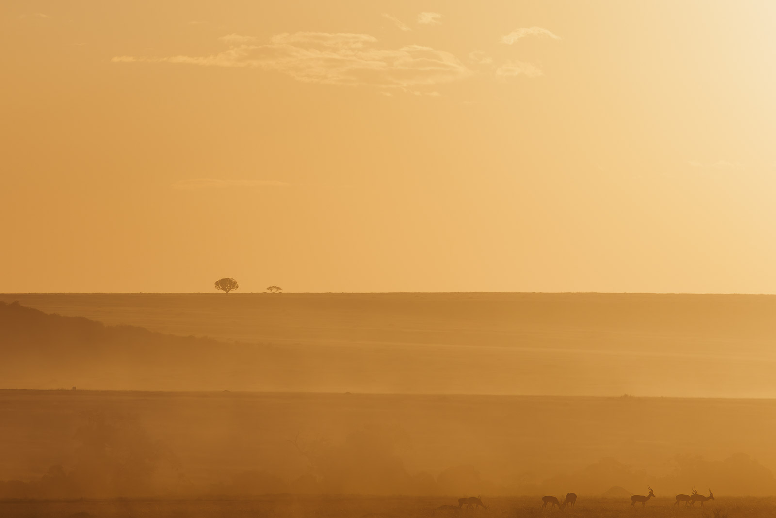 18282819082023231 ©SimonePaleari