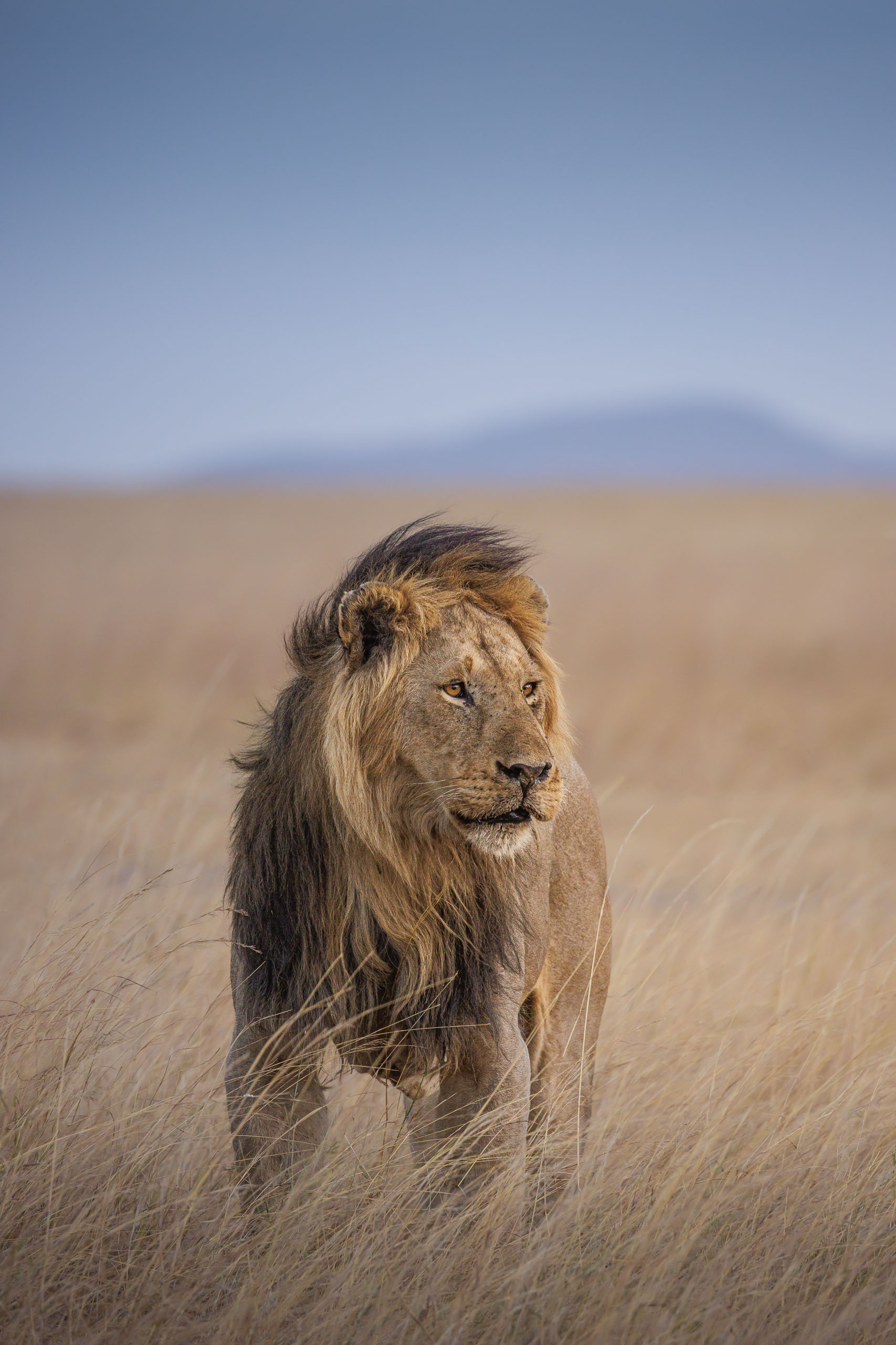 18421125082023237 2©SimonePaleari