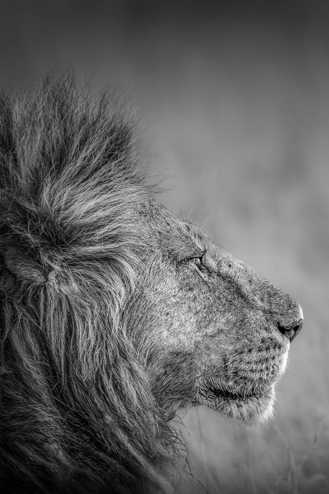 18515325082023237 c ©SimonePaleari