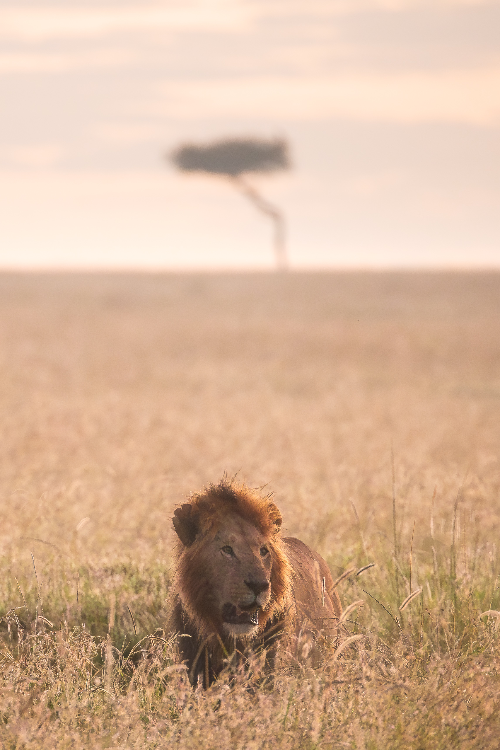 06243701012025001 3©SimonePaleari