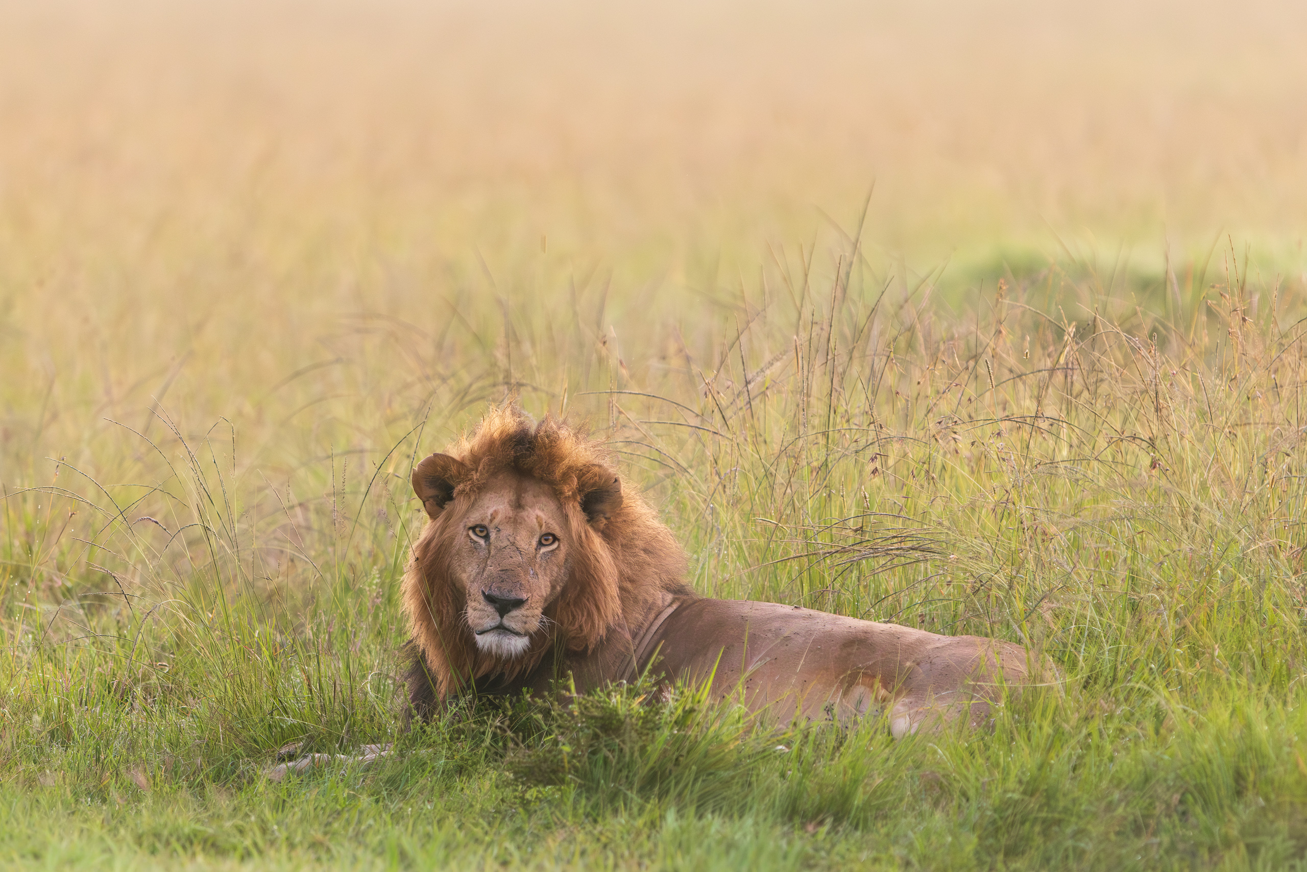 06273831122024366 5©SimonePaleari