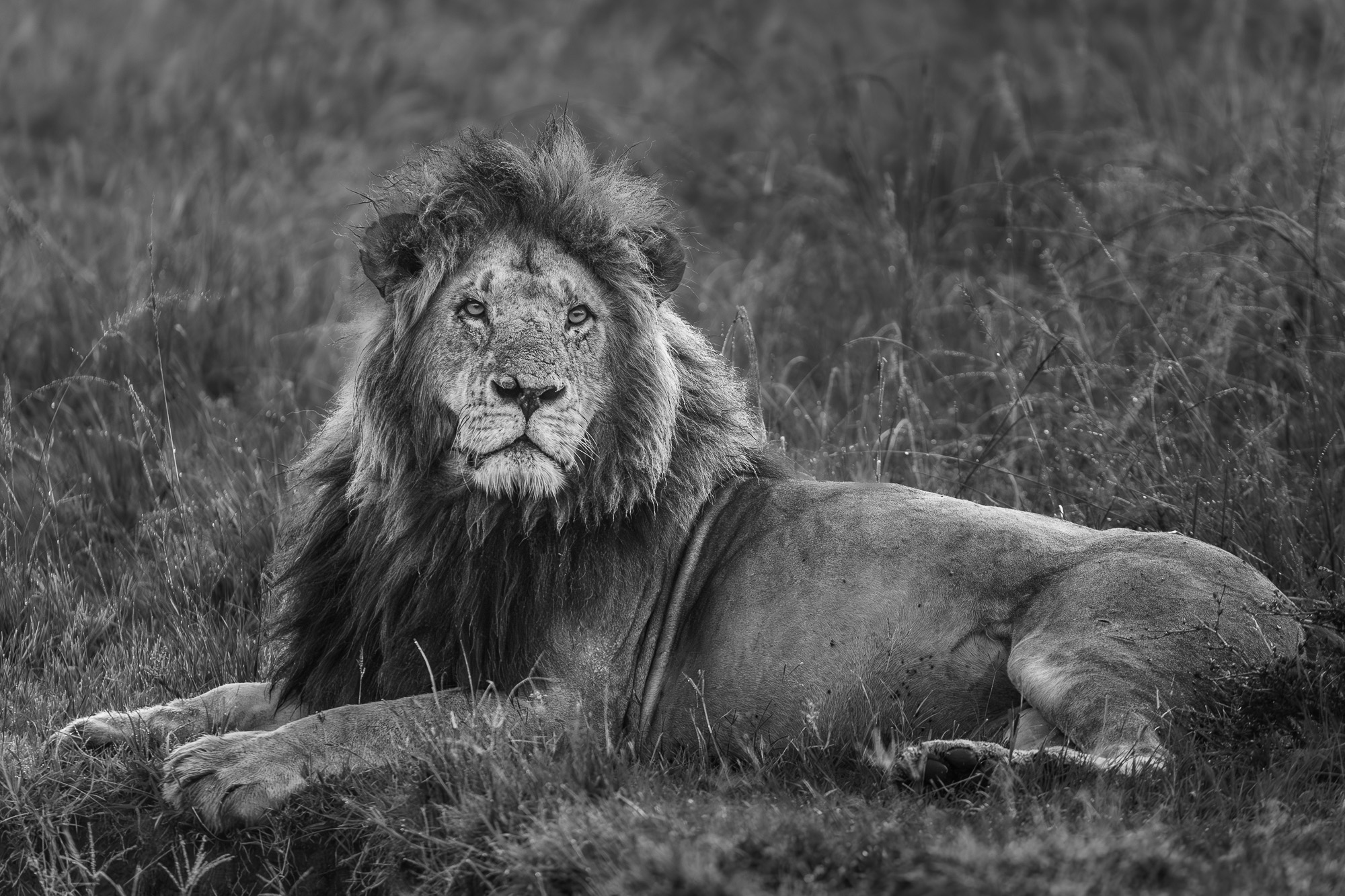 06342001012025001 2©SimonePaleari