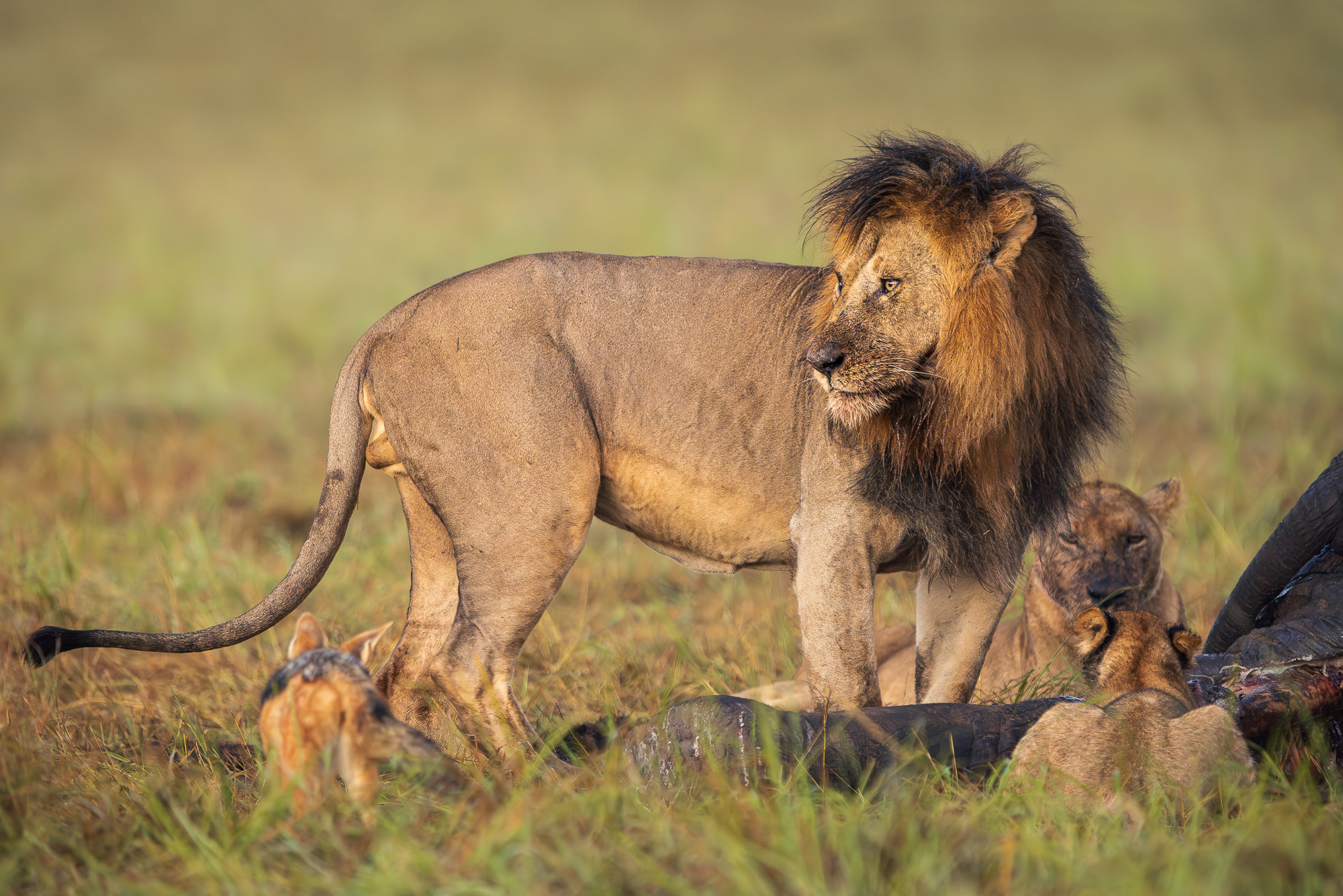 06353202012025002 ©SimonePaleari