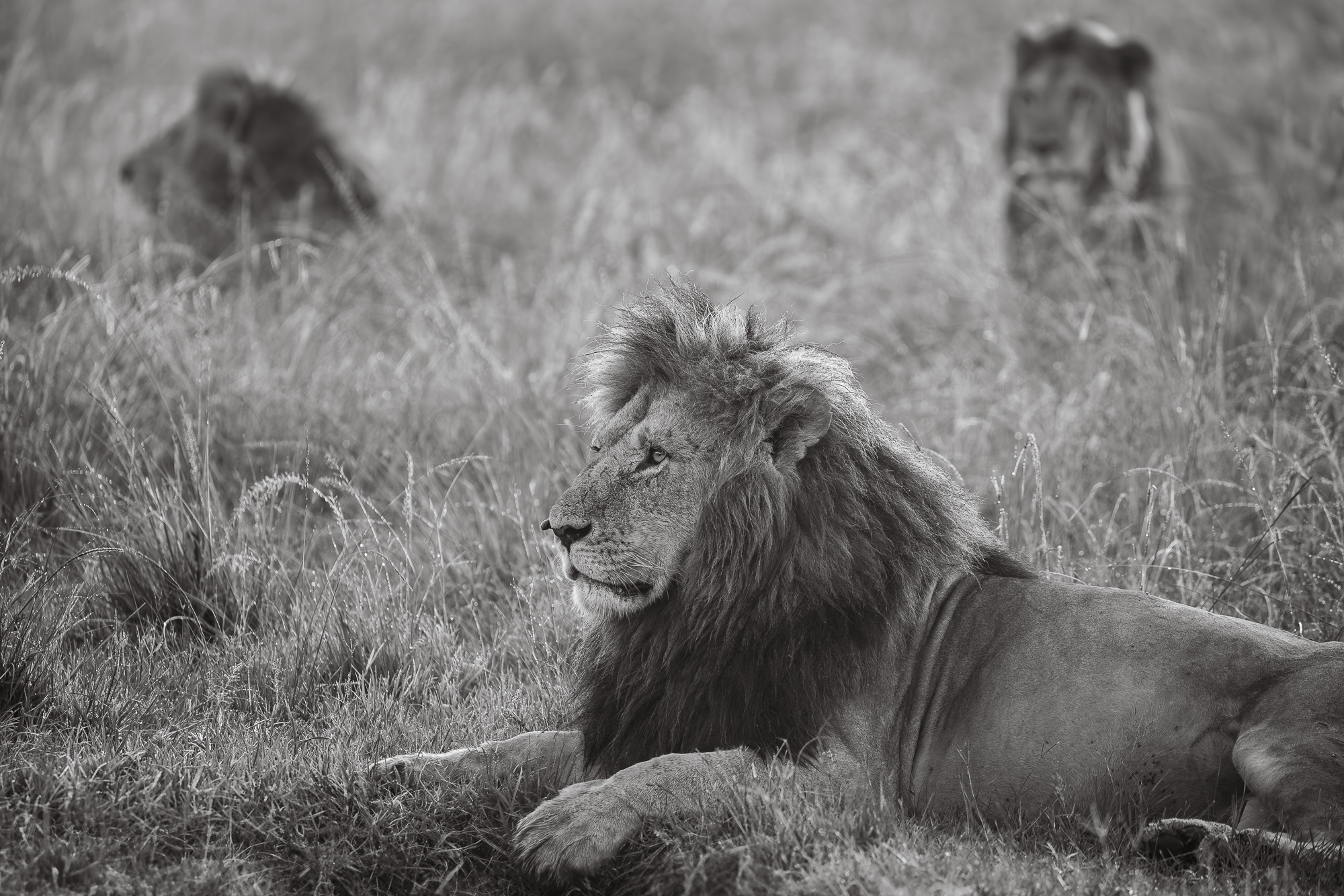 06482301012025001 ©SimonePaleari