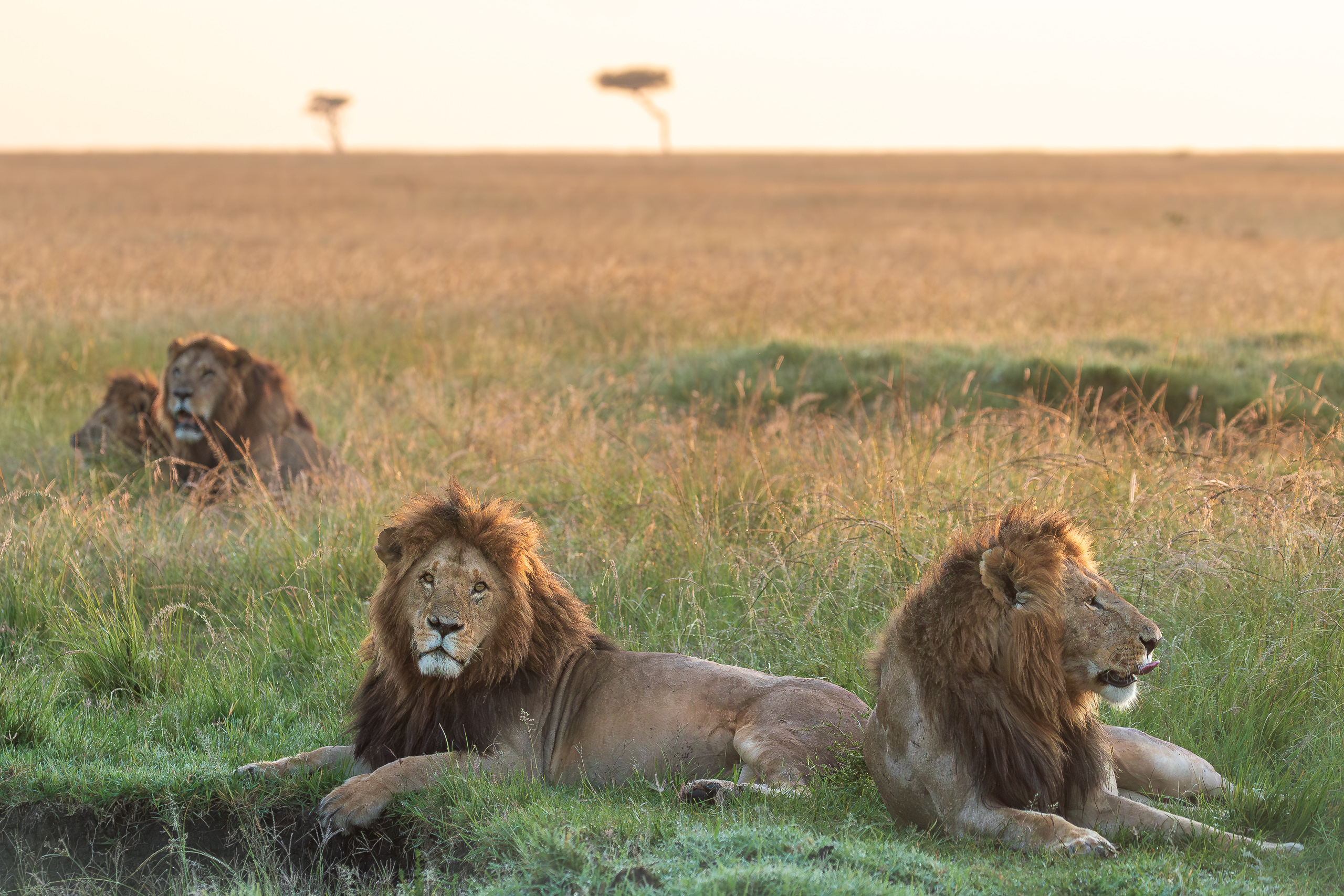 06494301012025001 ©SimonePaleari