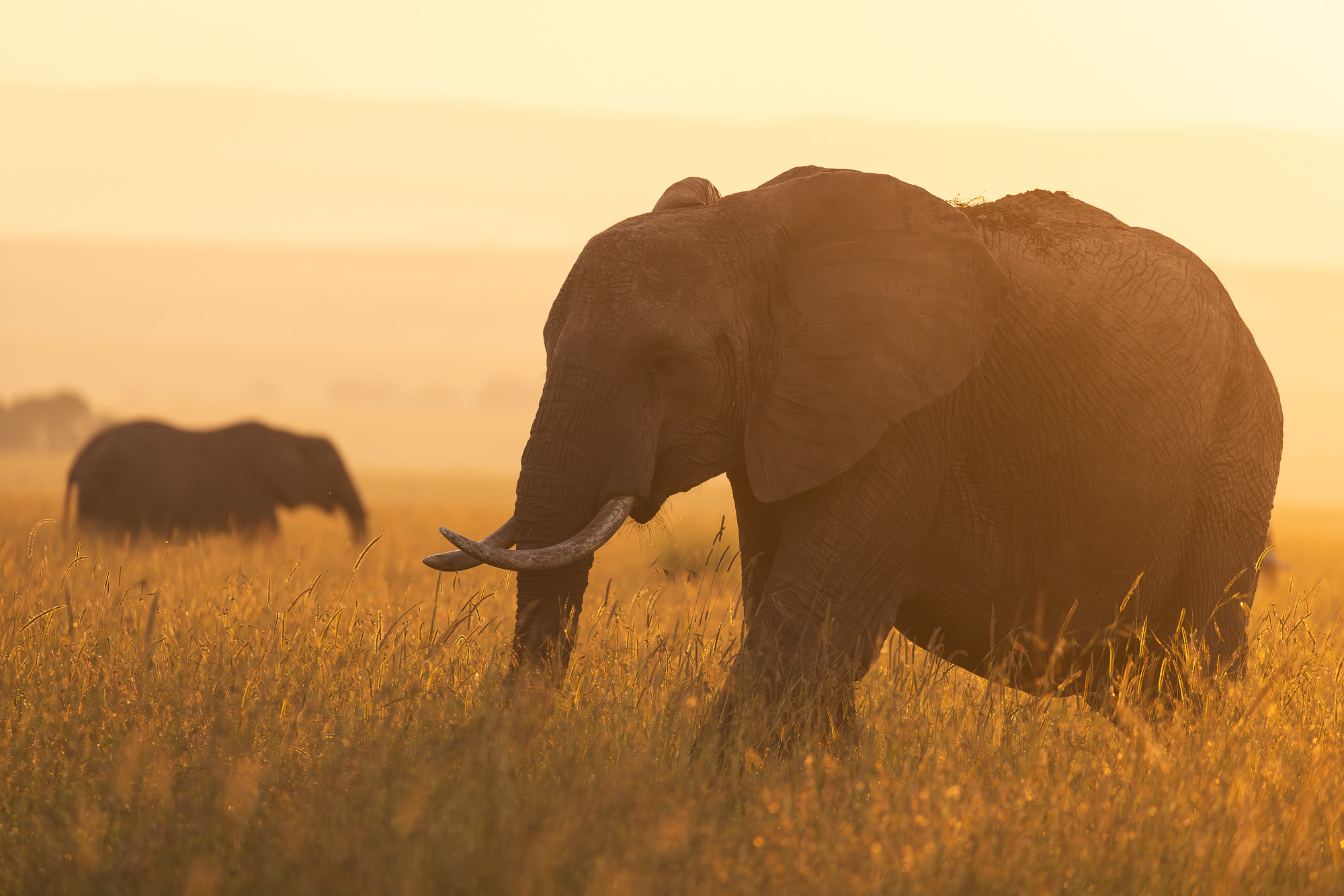 06500730122024365 ©SimonePaleari