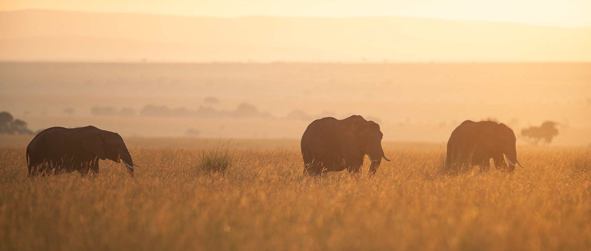 06522030122024365 ©SimonePaleari