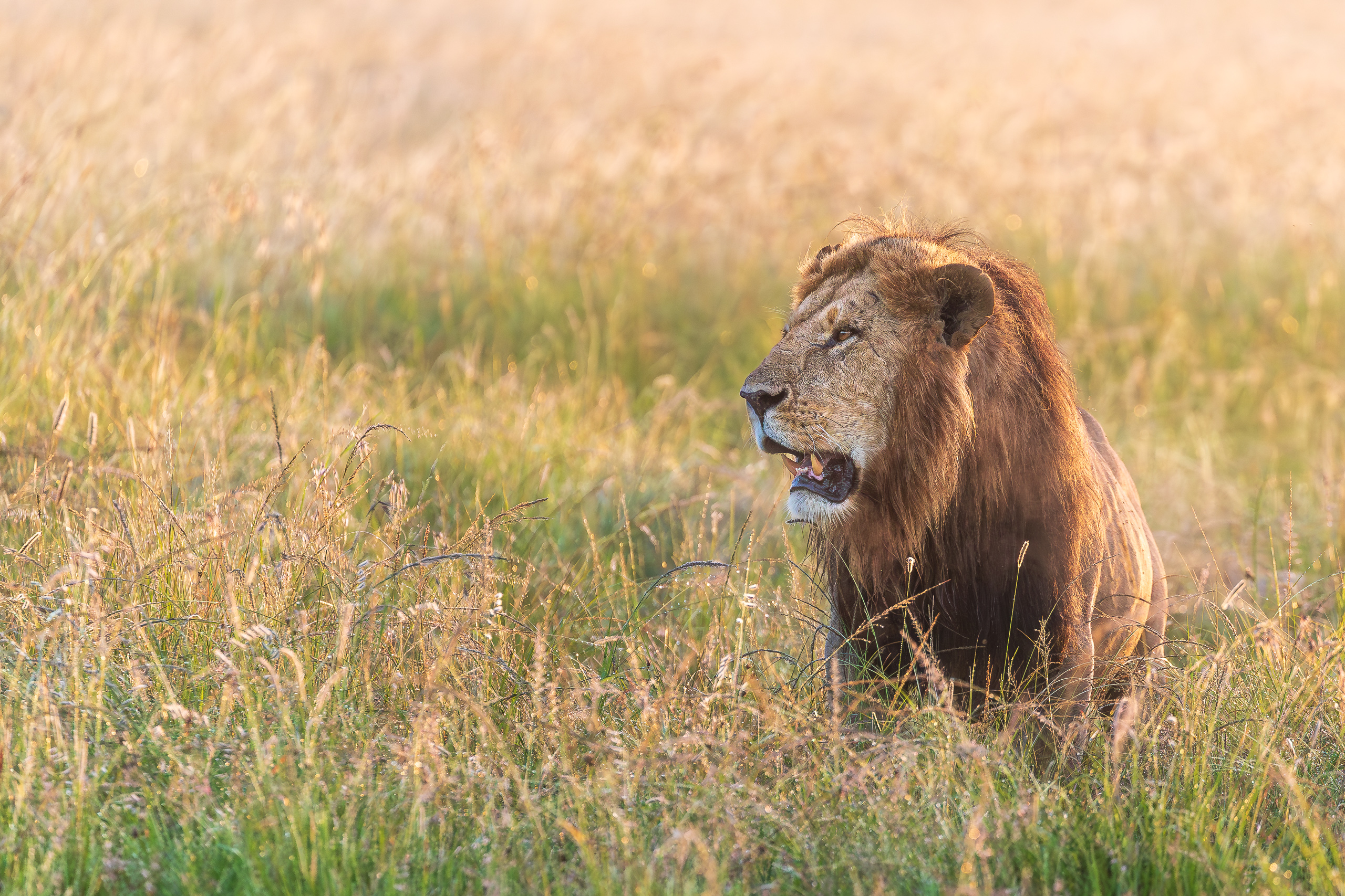 06524601012025001 ©SimonePaleari