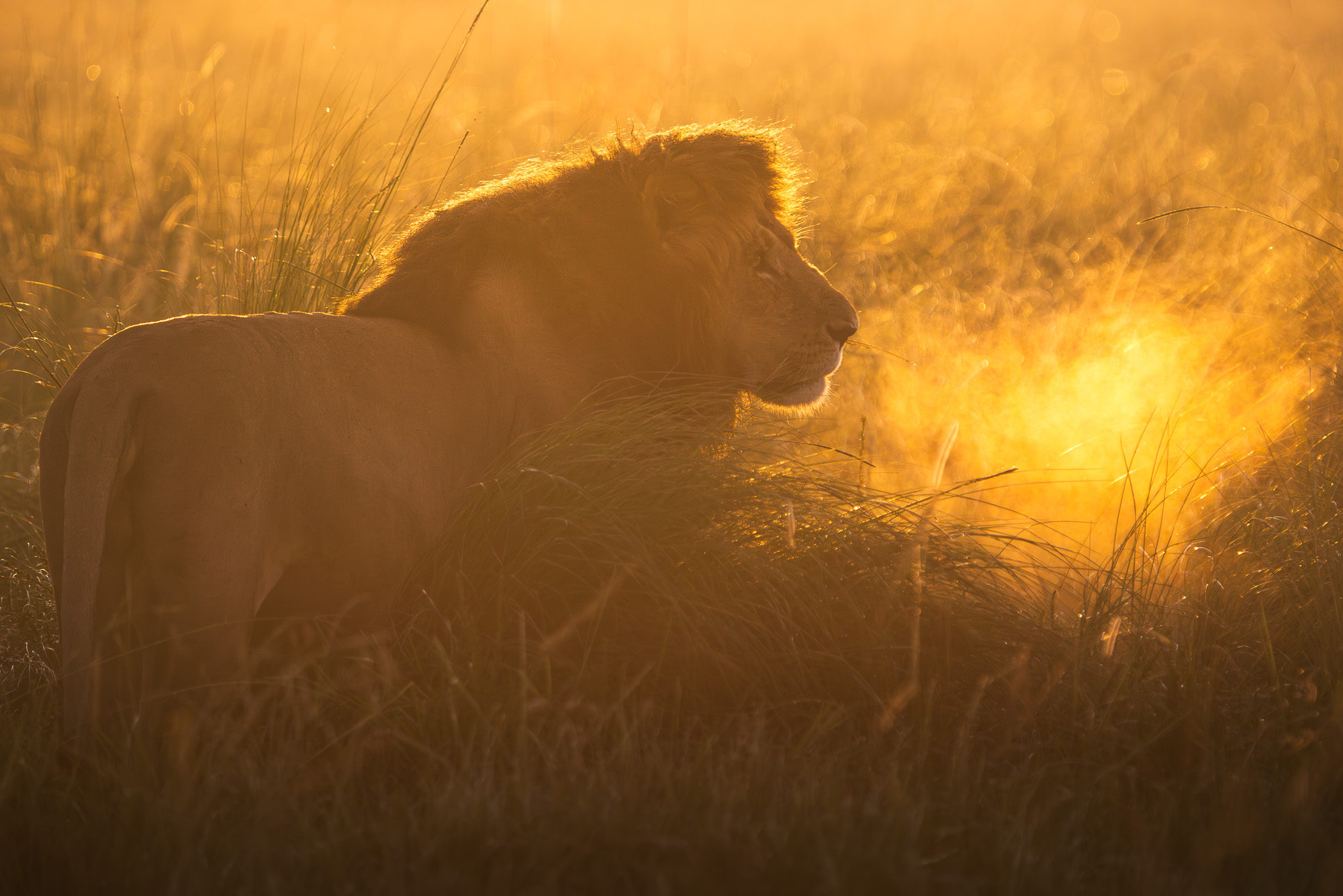 06530101012025001 ©SimonePaleari