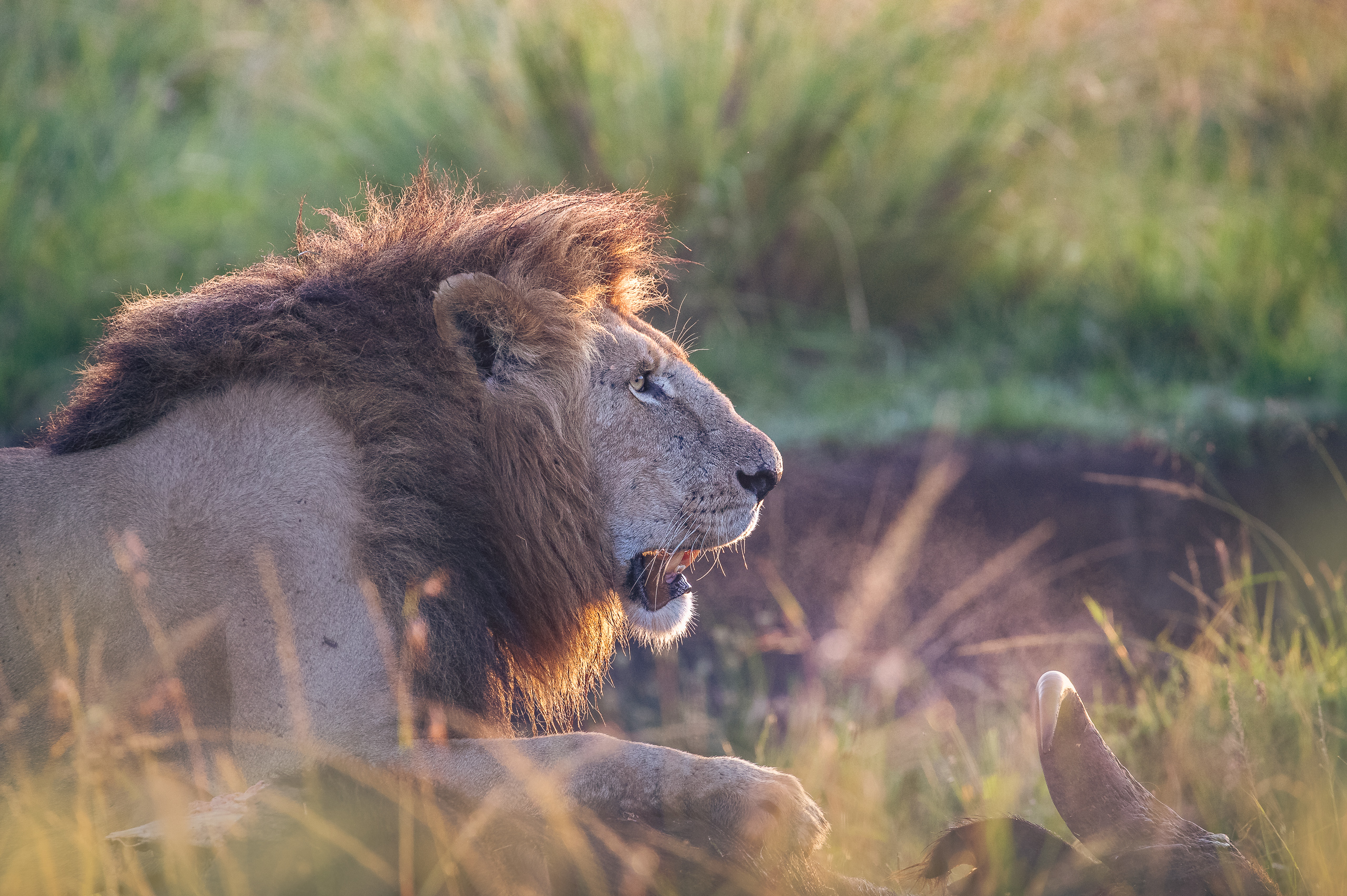 06544931122024366 2©SimonePaleari