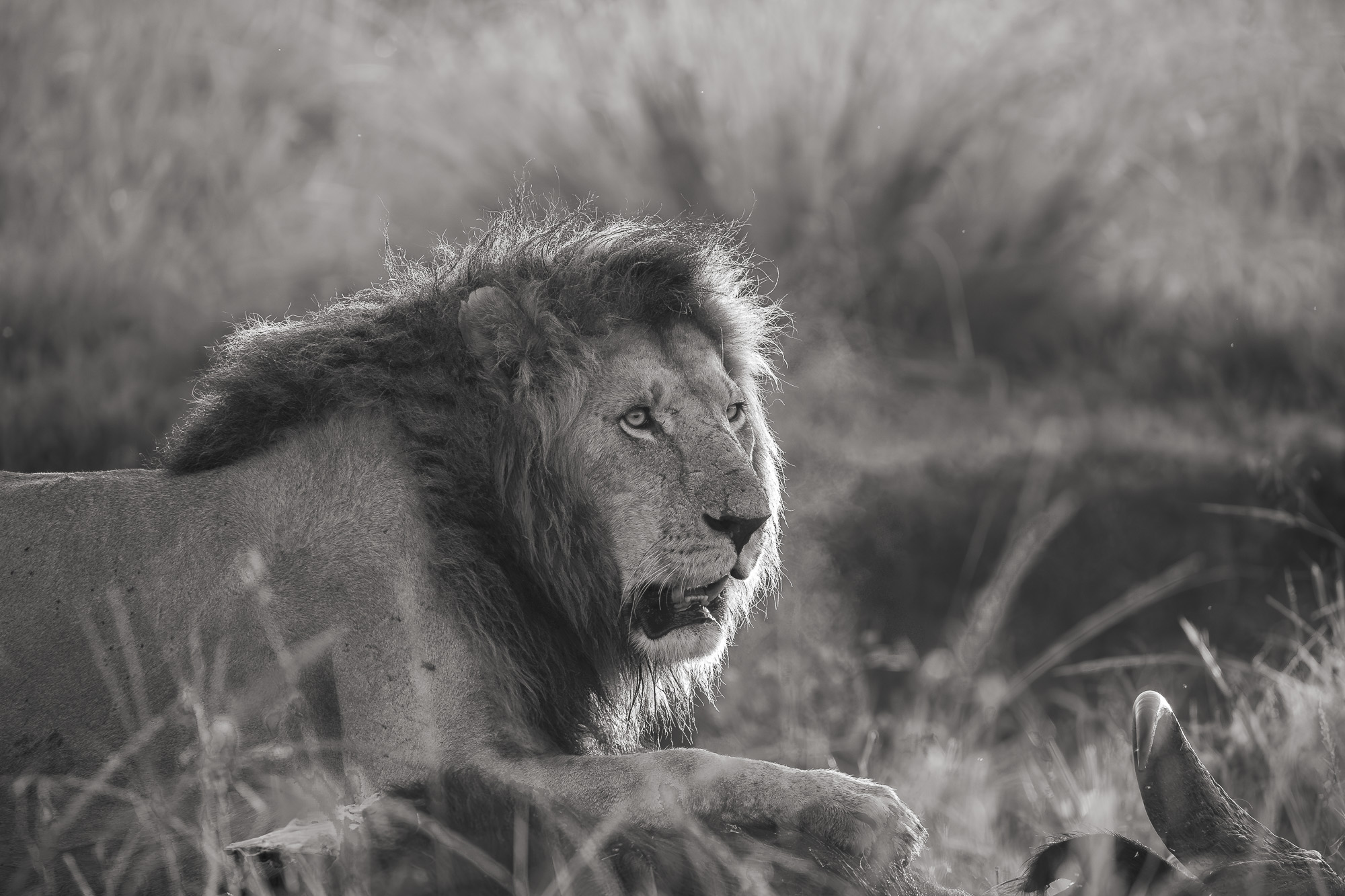 06545431122024366 ©SimonePaleari