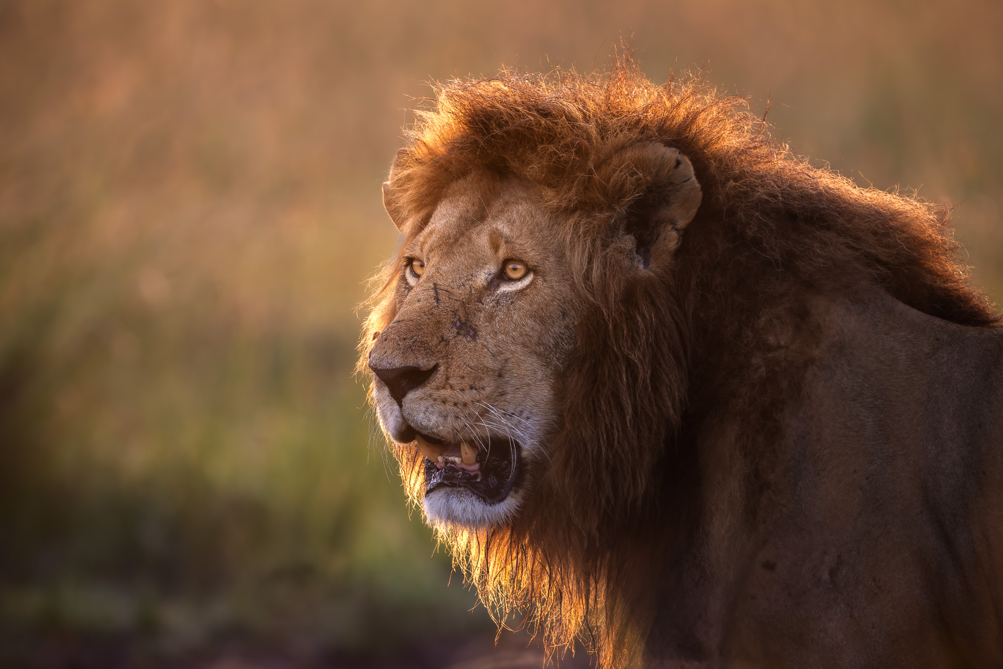 06555731122024366 ©SimonePaleari