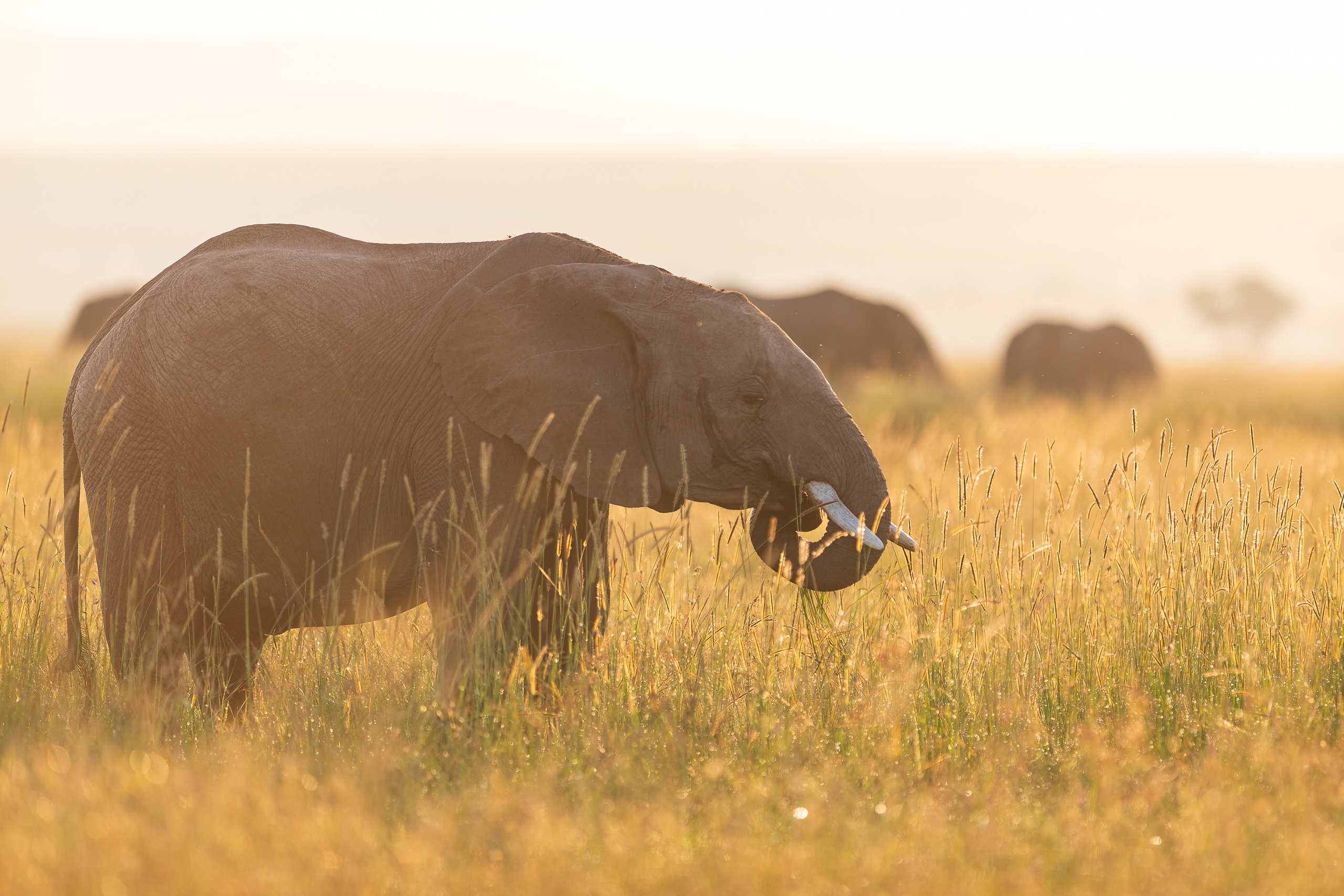 07002830122024365 ©SimonePaleari