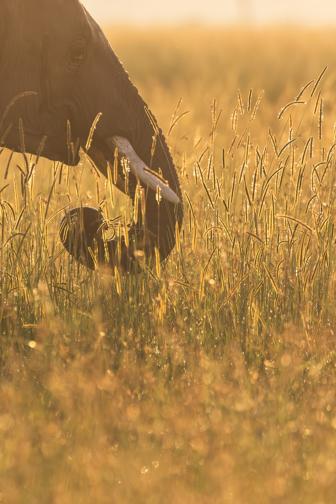 07010230122024365 ©SimonePaleari