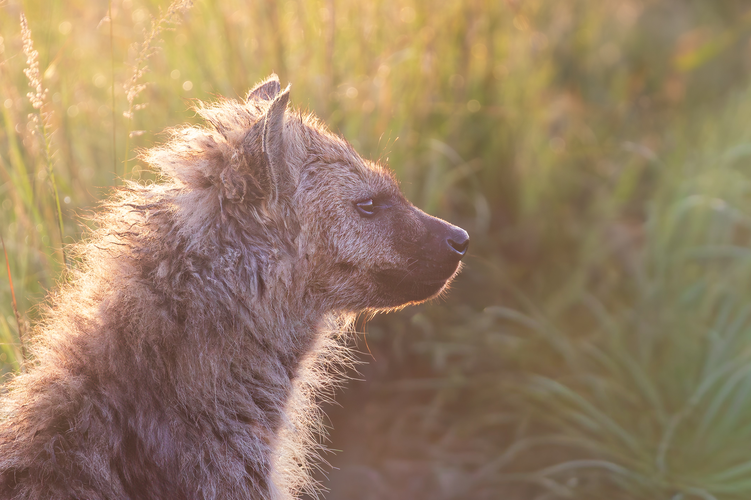 07045331122024366 2©SimonePaleari