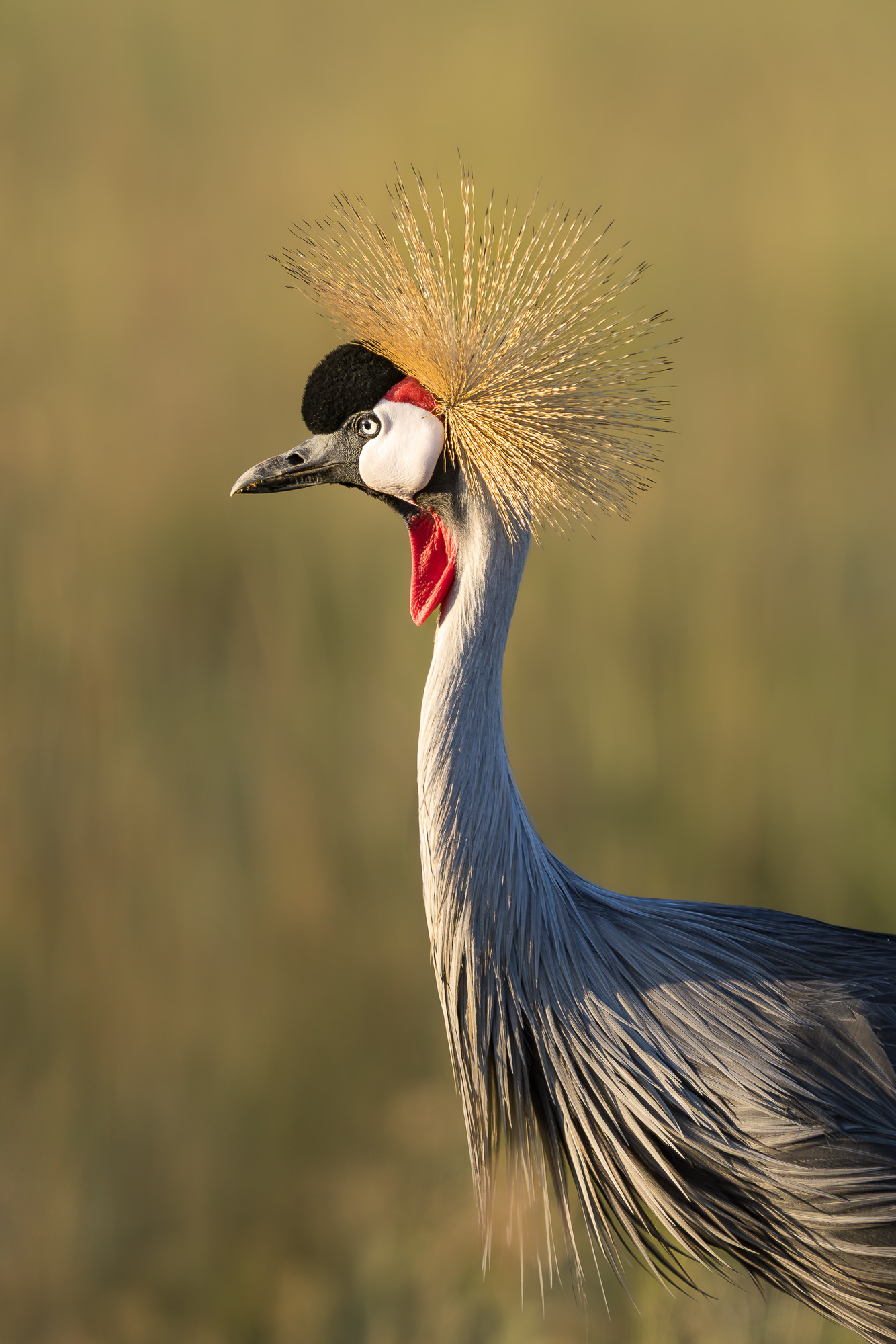 07091205012025005 ©SimonePaleari