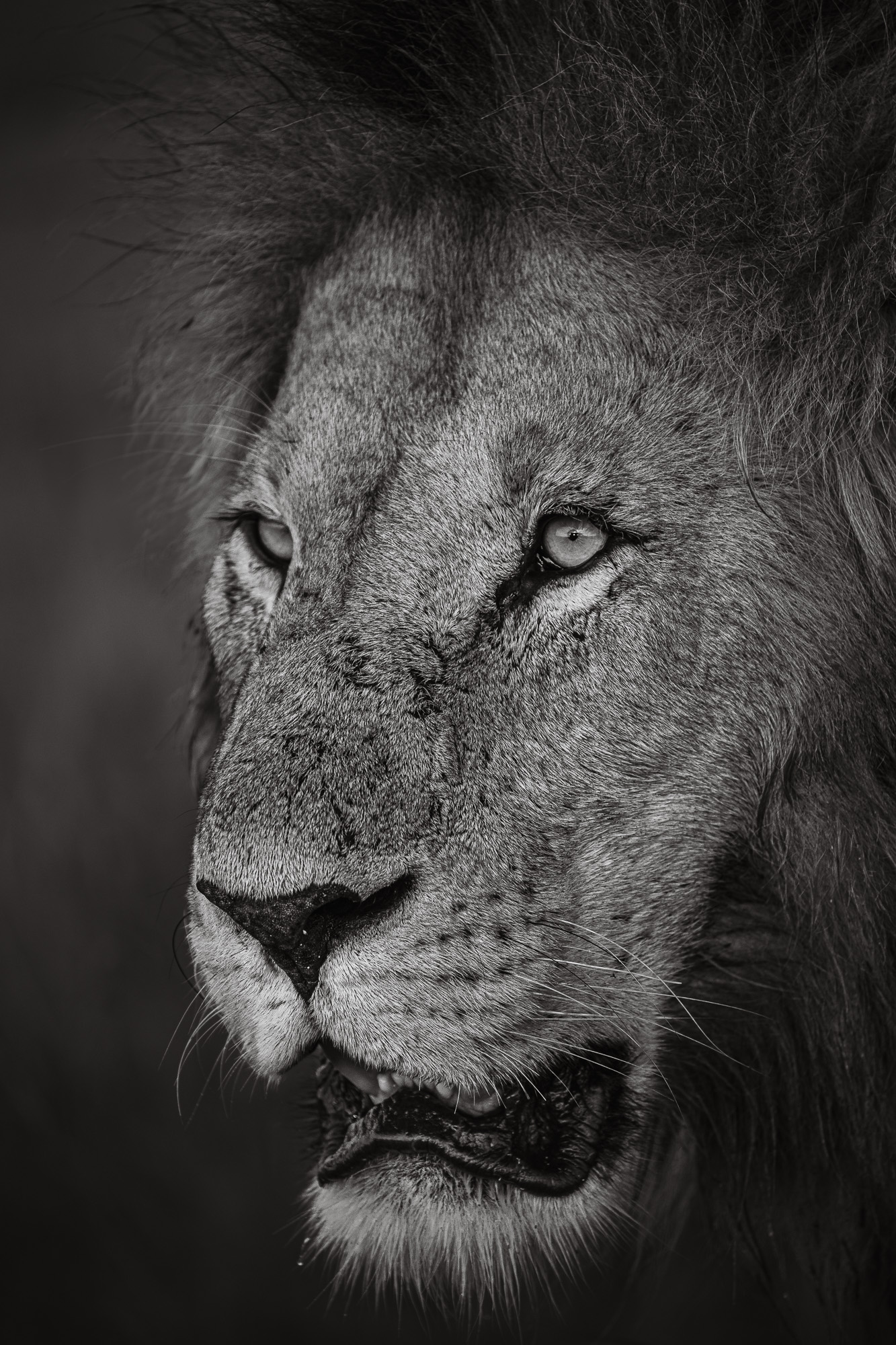 07303601012025001 ©SimonePaleari