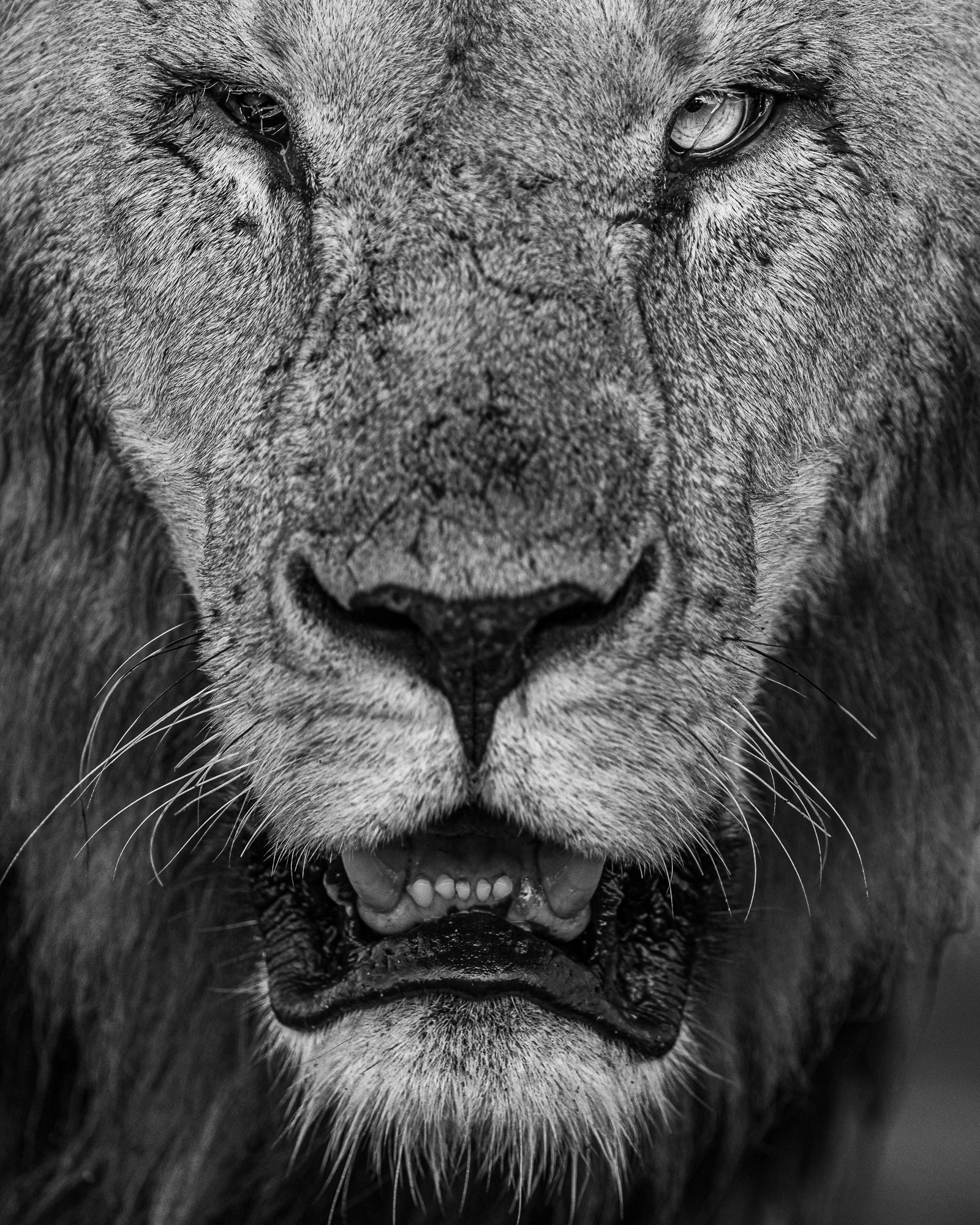 07333501012025001 ©SimonePaleari