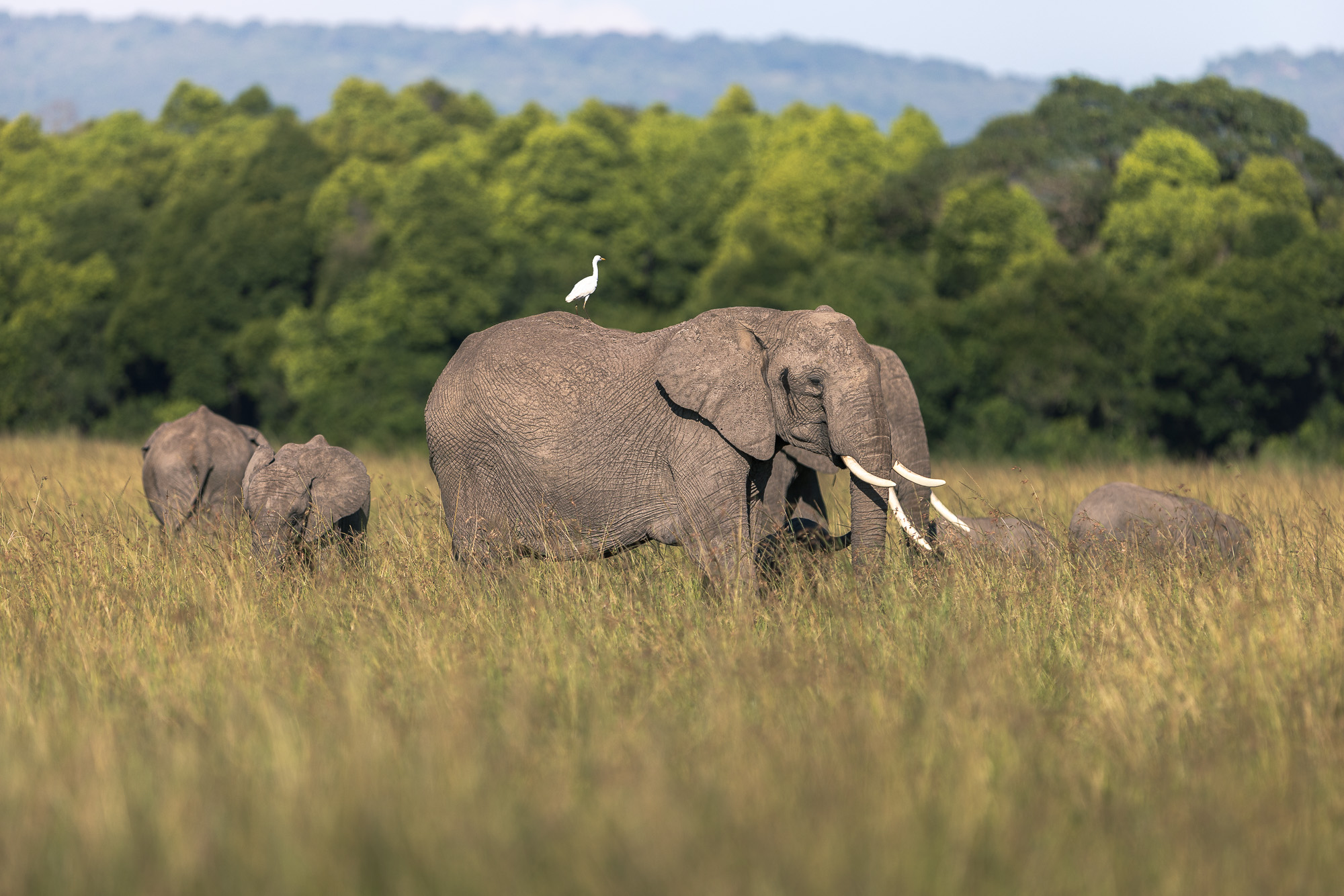 08301405012025005 ©SimonePaleari