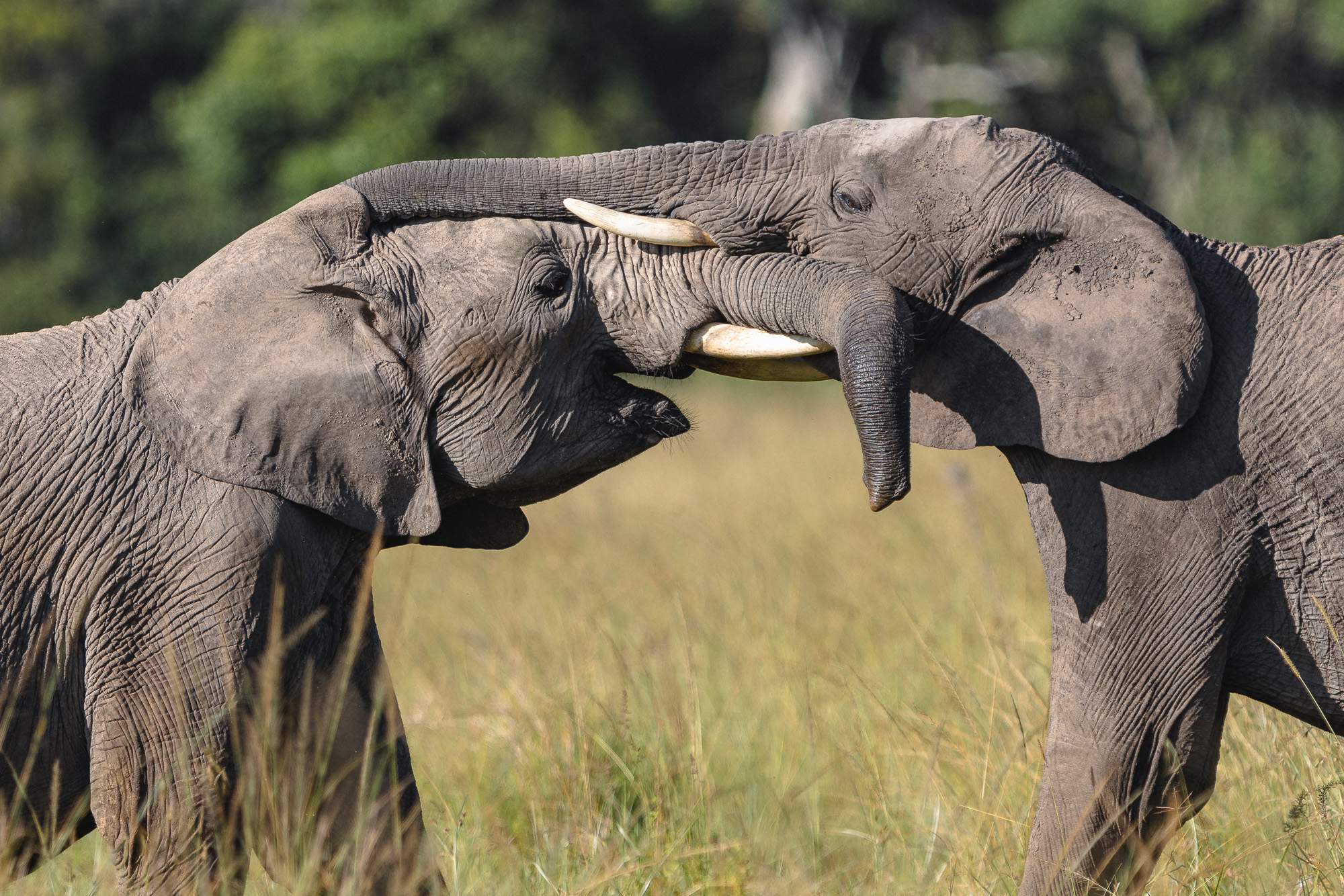 08395905012025005 ©SimonePaleari