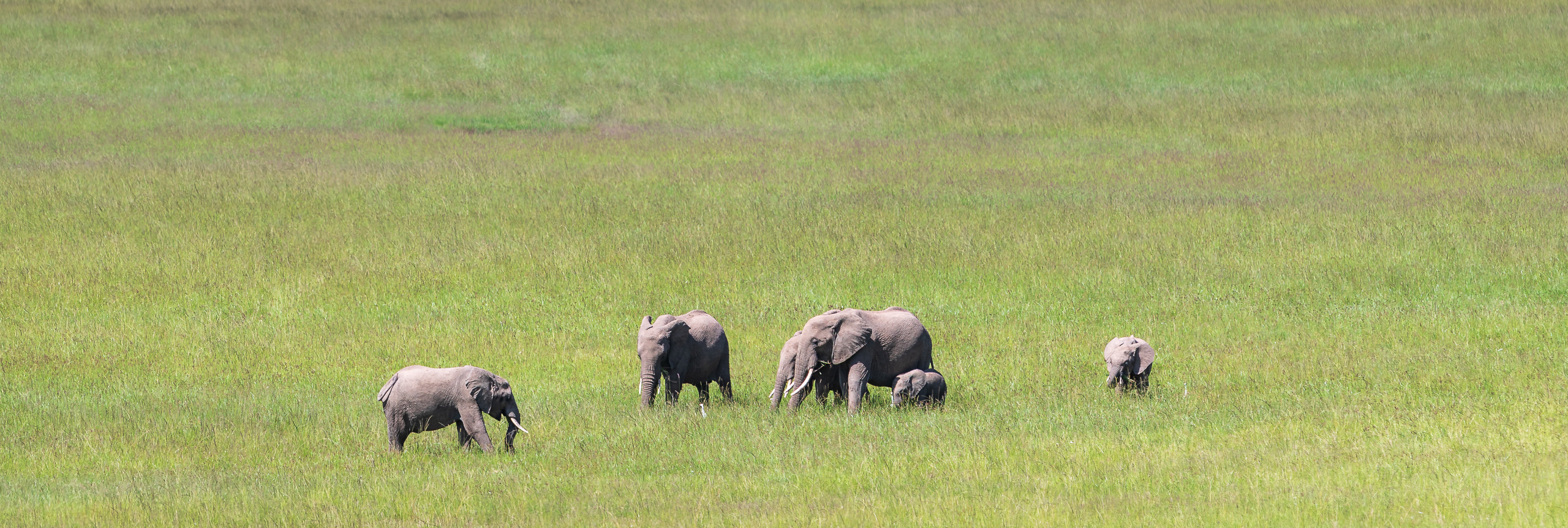 10452030122024365 ©SimonePaleari