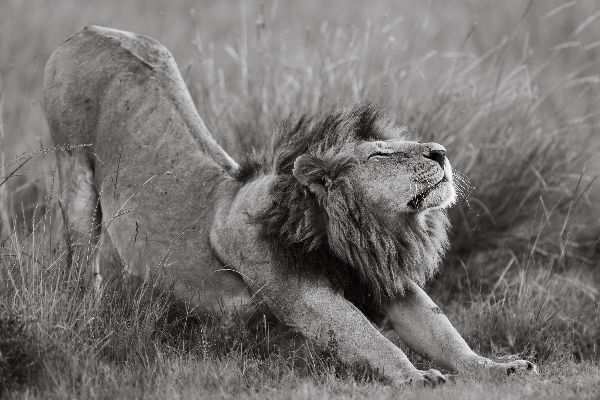 18380830122024365 ©SimonePaleari