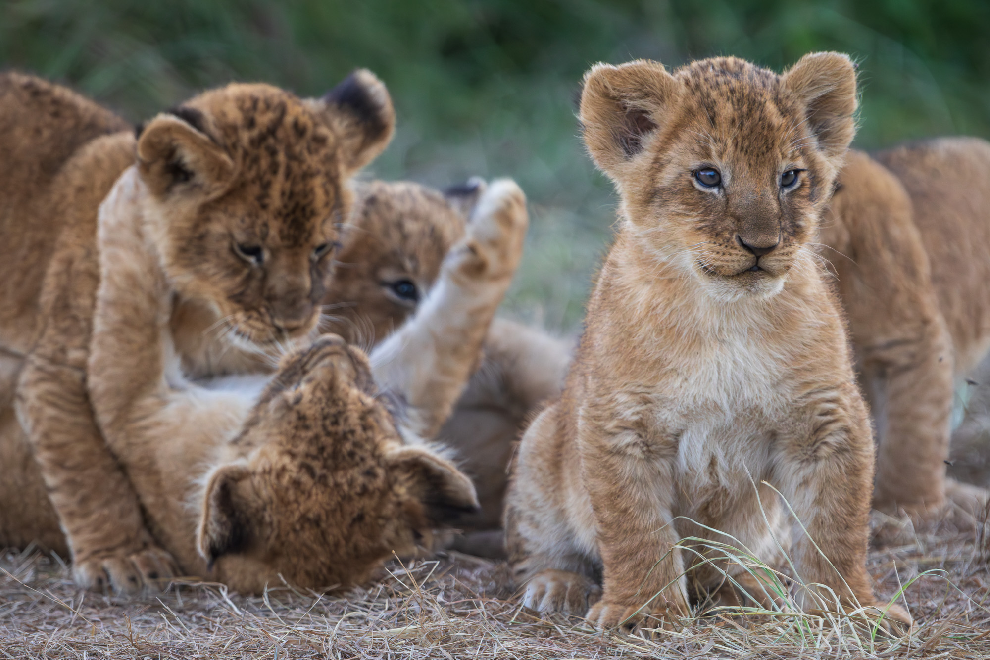 18464703012025003 ©SimonePaleari