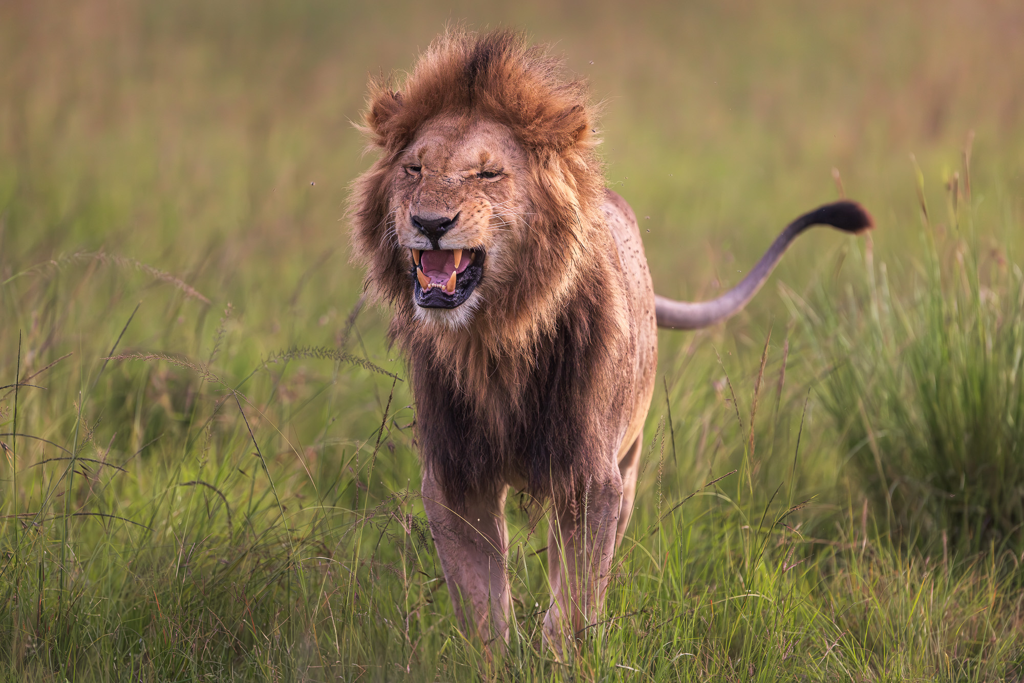 18545430122024365 ©SimonePaleari