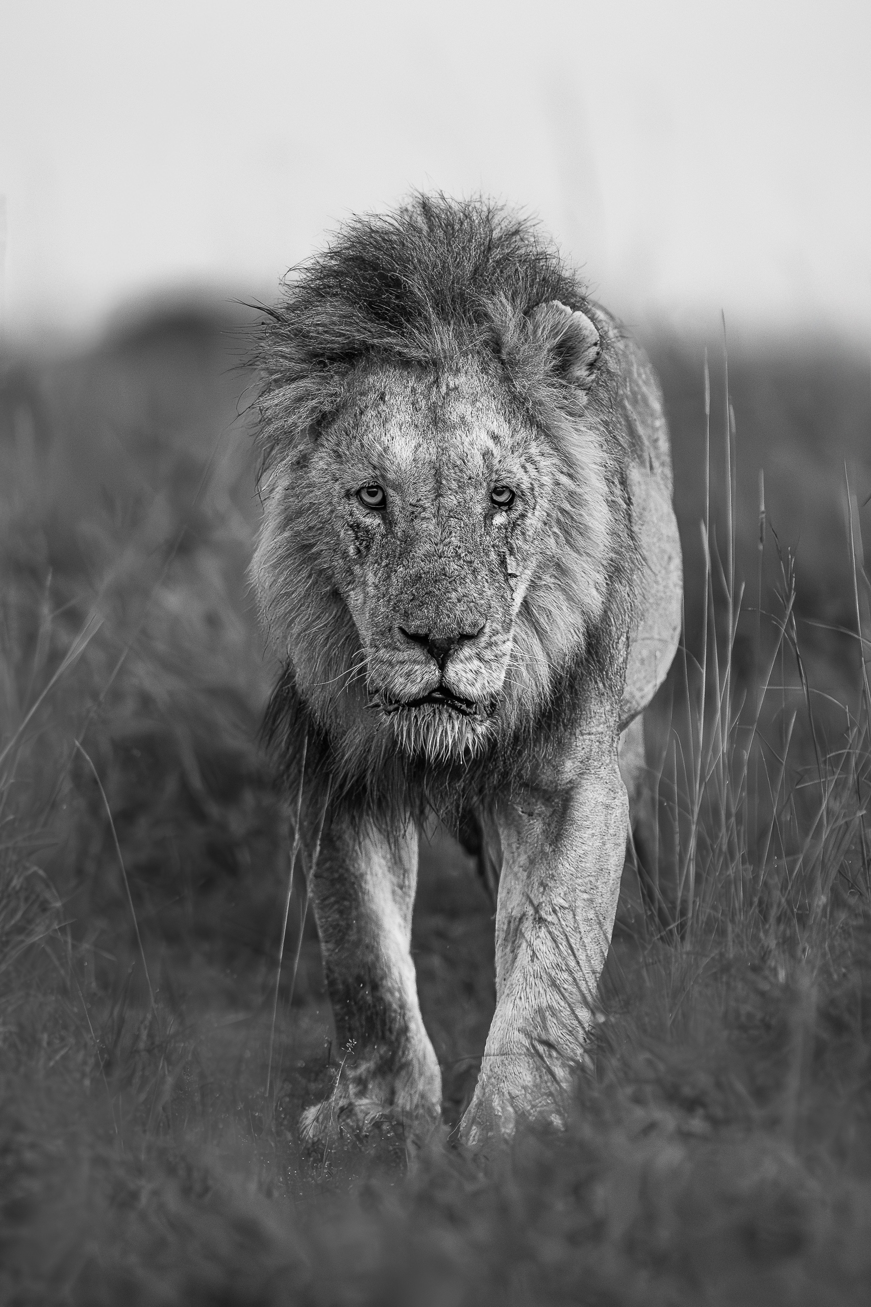 06312802012026002 ©SimonePaleari