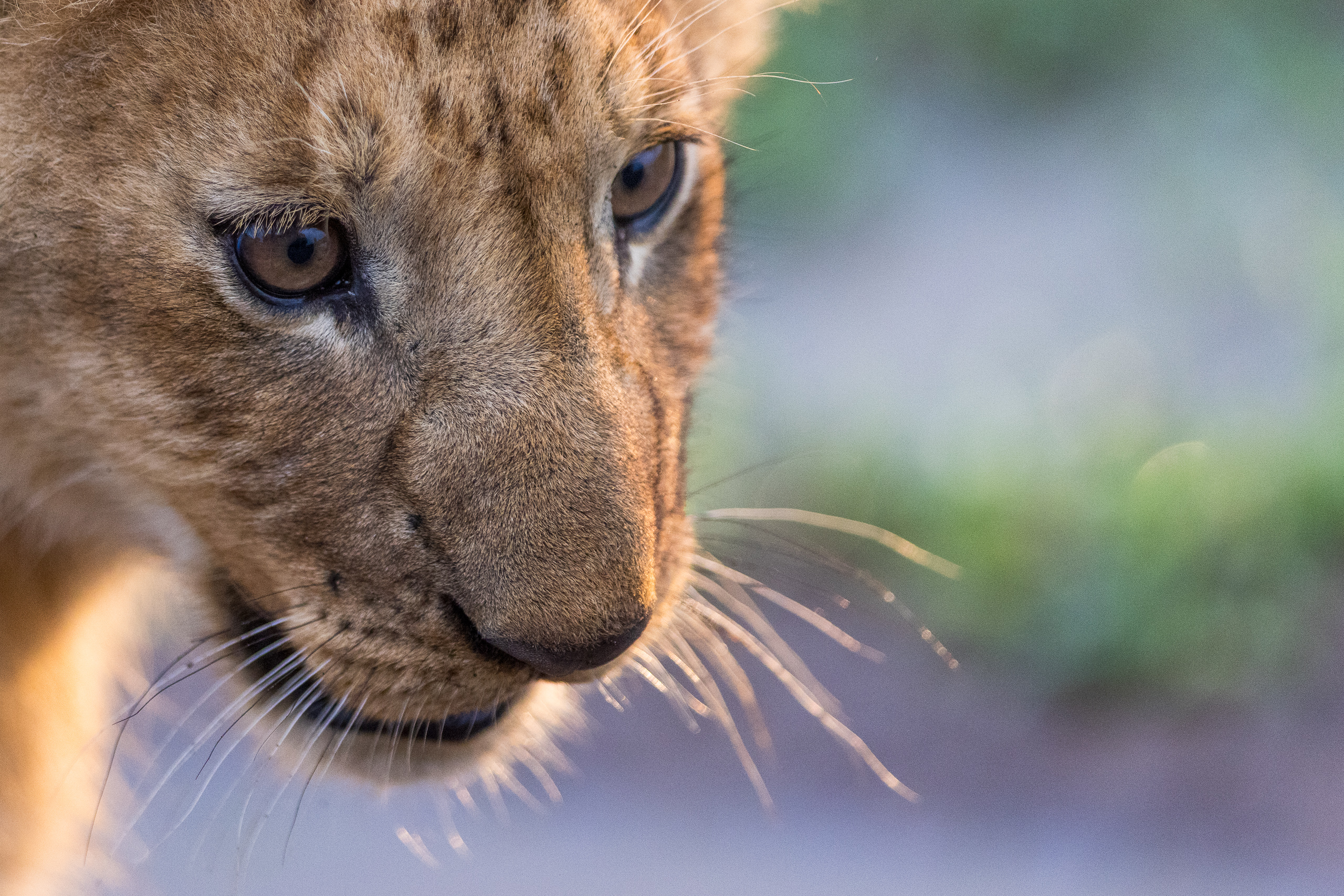 07120305012026005 ©SimonePaleari