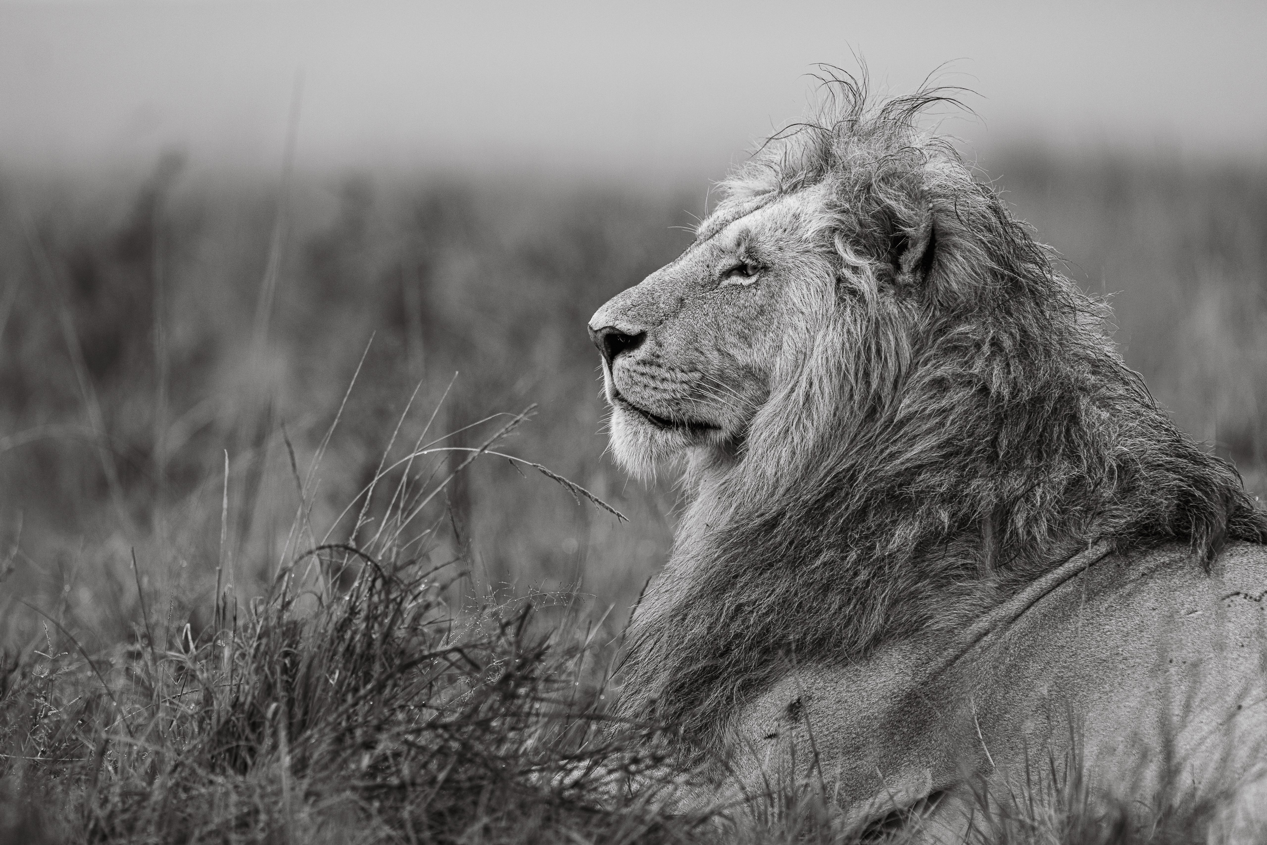 07261405012026005 ©SimonePaleari