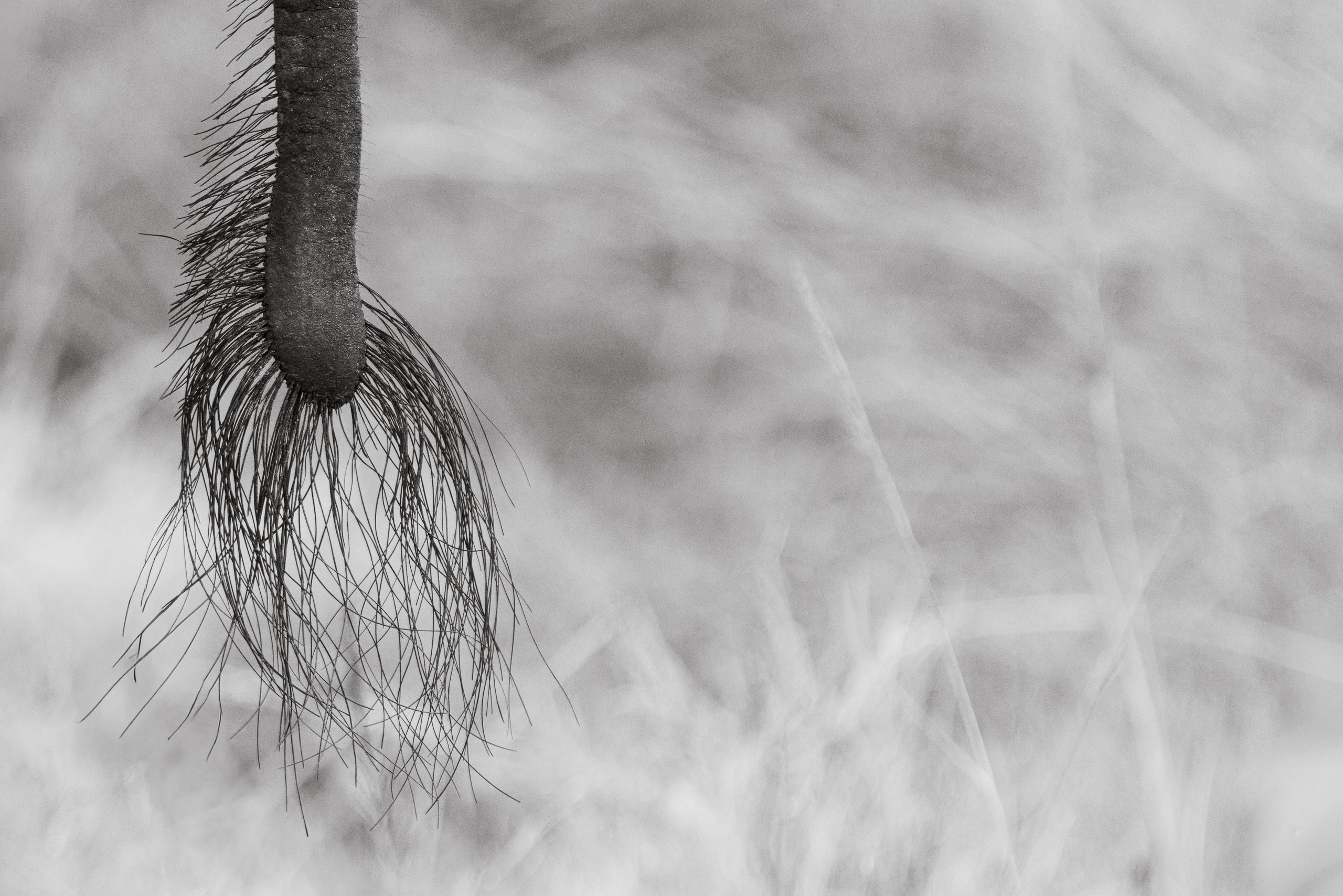 08411205012026005 ©SimonePaleari